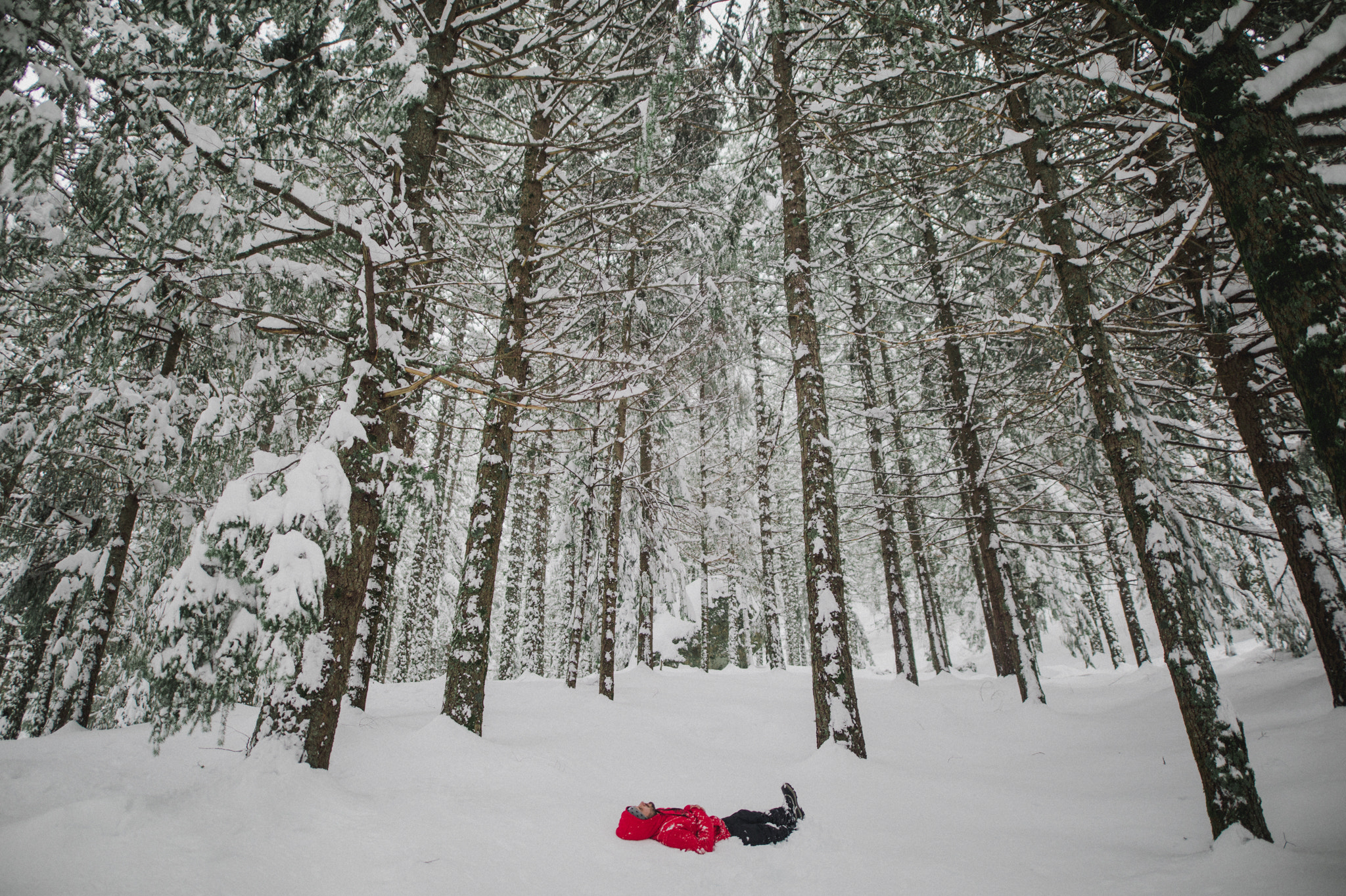 Canon EOS 5D Mark IV + Sigma 20mm F1.4 DG HSM Art sample photo. Snow dreaming. photography