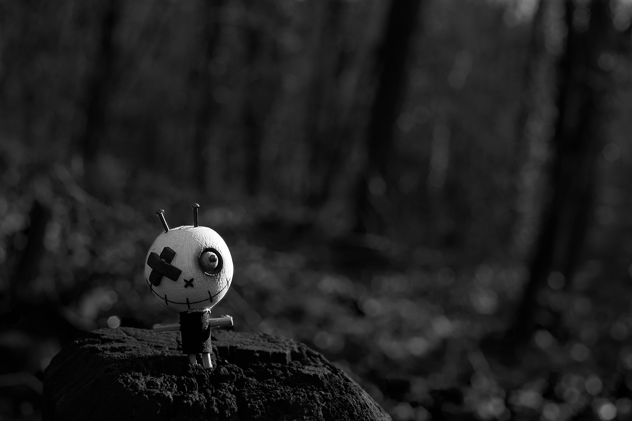 Fujifilm X-Pro1 + Fujifilm XF 35mm F1.4 R sample photo. Creepy dolly molly photography