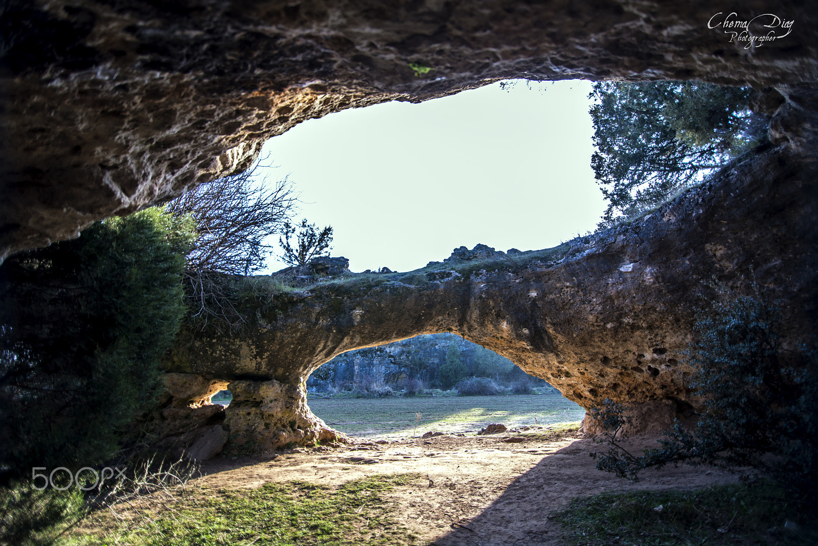 Nikon D800 sample photo. Los ojos del campo. photography