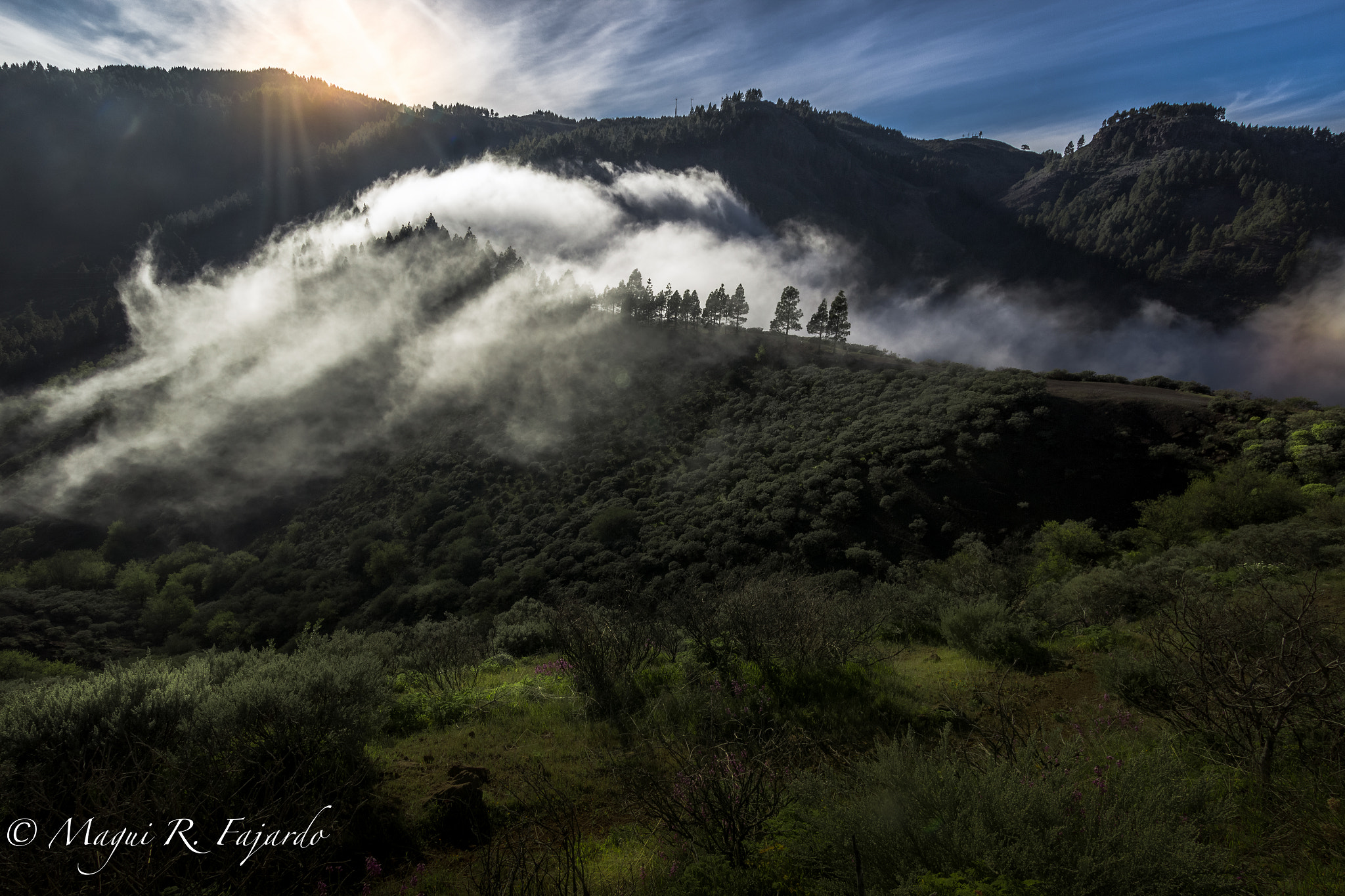 Sigma 10-20mm F3.5 EX DC HSM sample photo. The thing photography