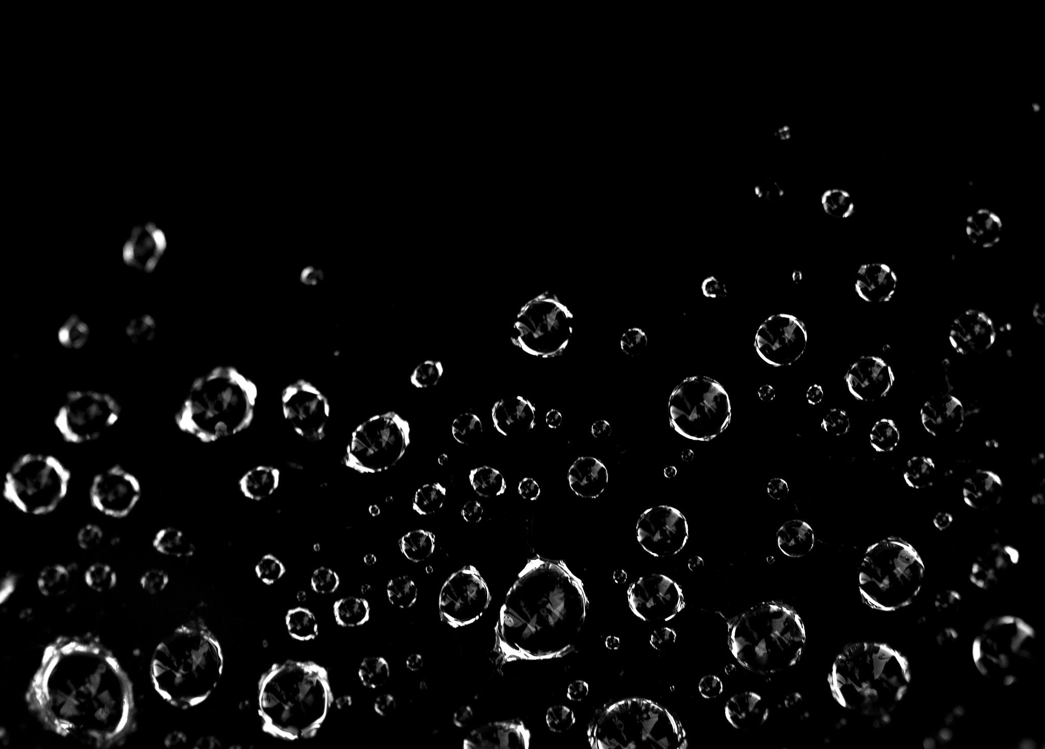 Nikon D5000 sample photo. Web drops photography