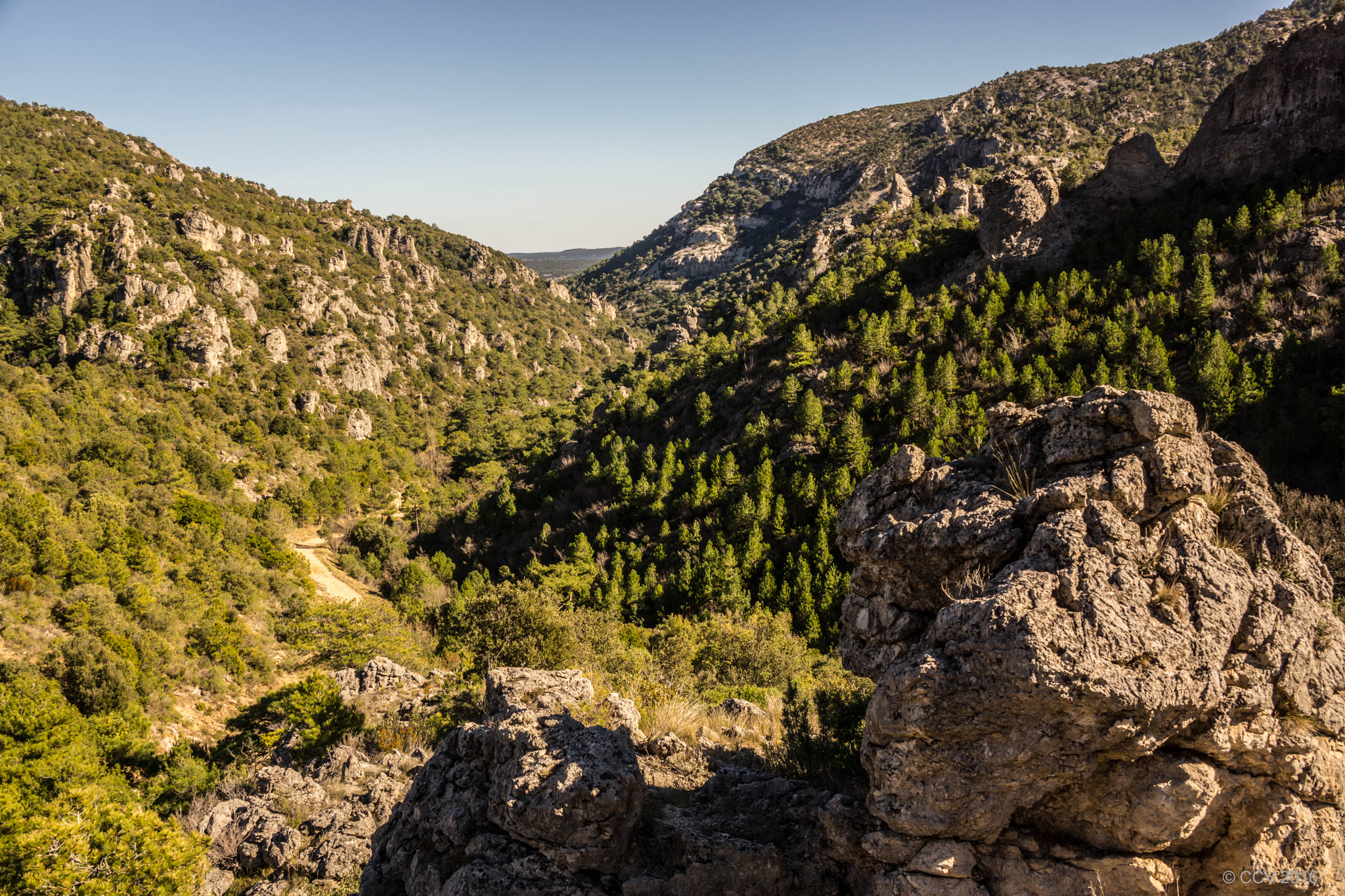 Sony DT 18-135mm F3.5-5.6 SAM sample photo. Printemps en cévennes photography