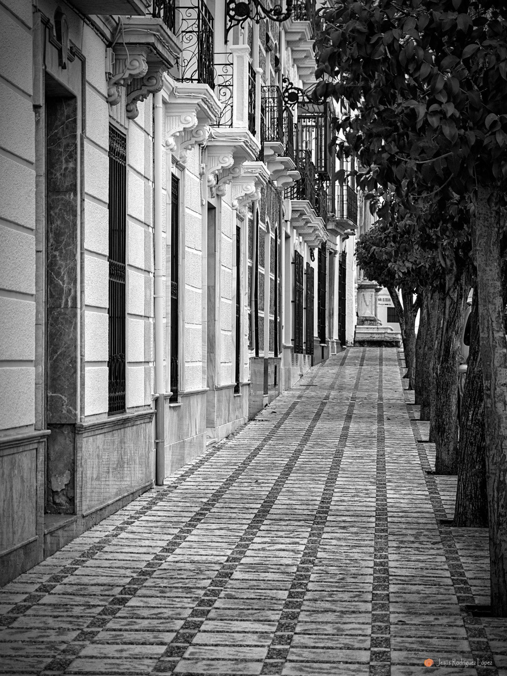 Olympus Zuiko Digital ED 12-60mm F2.8-4.0 SWD sample photo. El paseo photography
