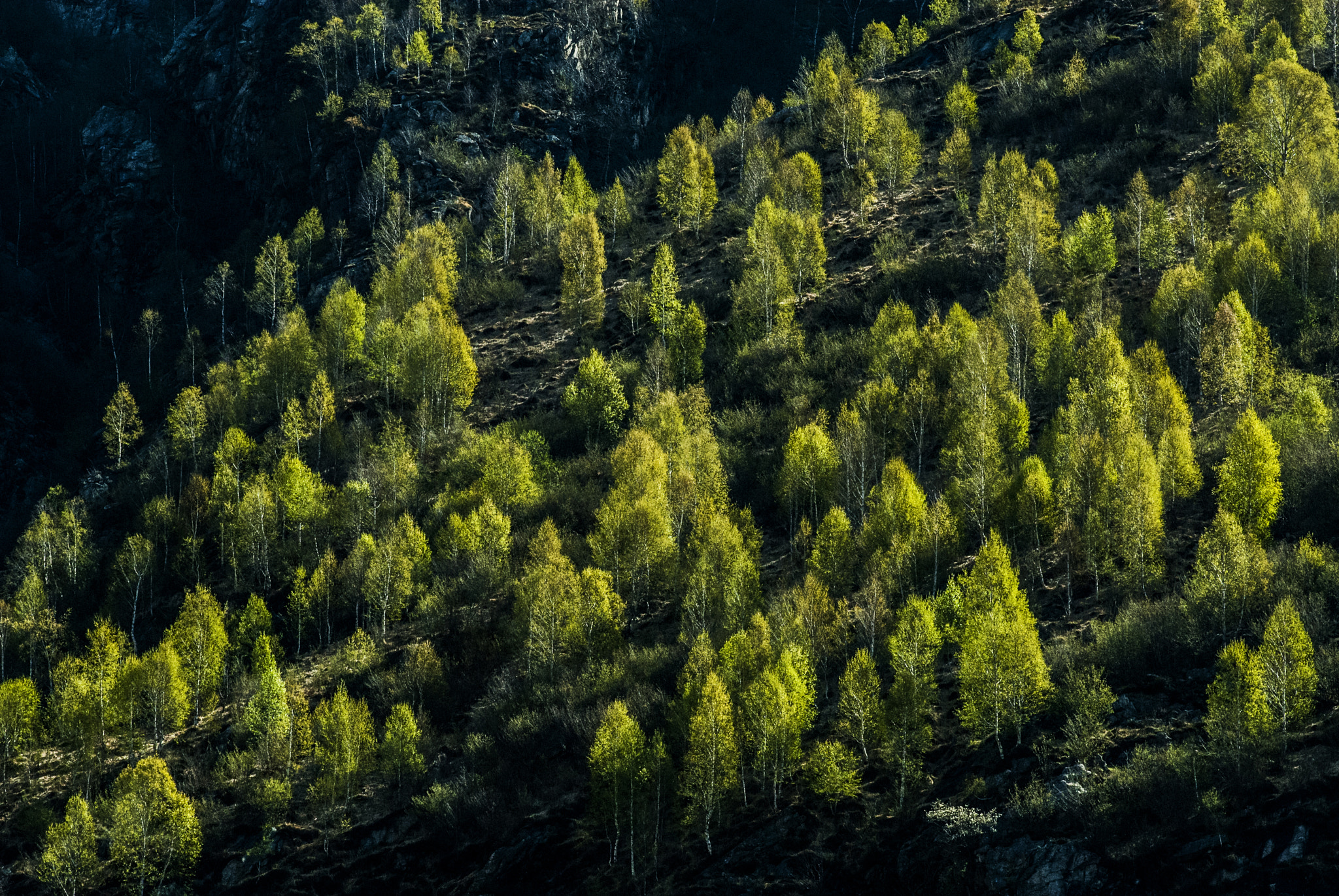 Nikon AF-Nikkor 80-200mm F2.8D ED sample photo. Ray of light in val codera. italy. photography
