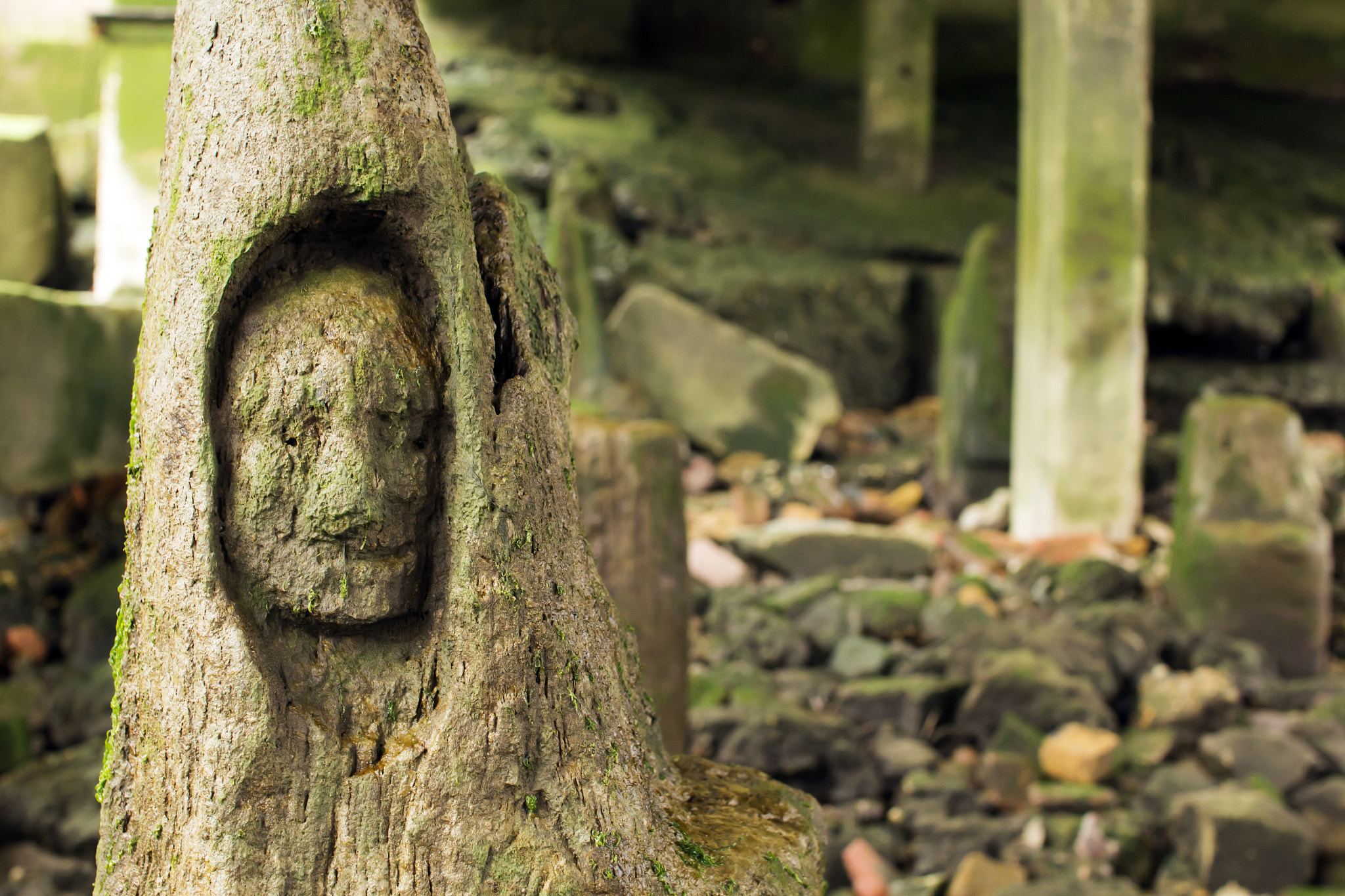 Sigma 30mm F1.4 EX DC HSM sample photo. Old demons photography