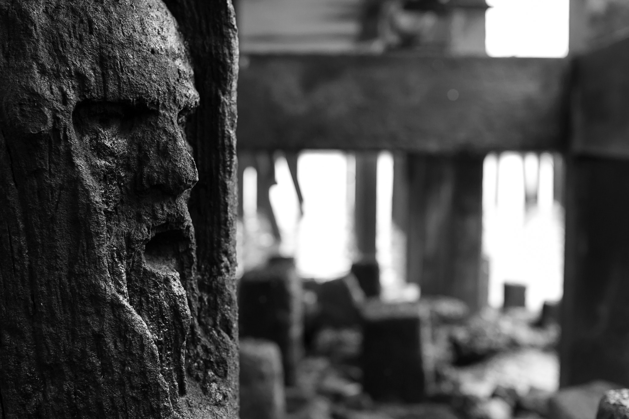 Sigma 30mm F1.4 EX DC HSM sample photo. The old demons photography