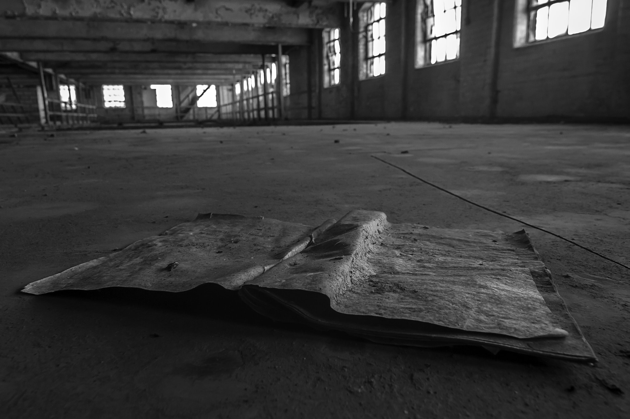 Canon EOS 60D sample photo. Abounded photography