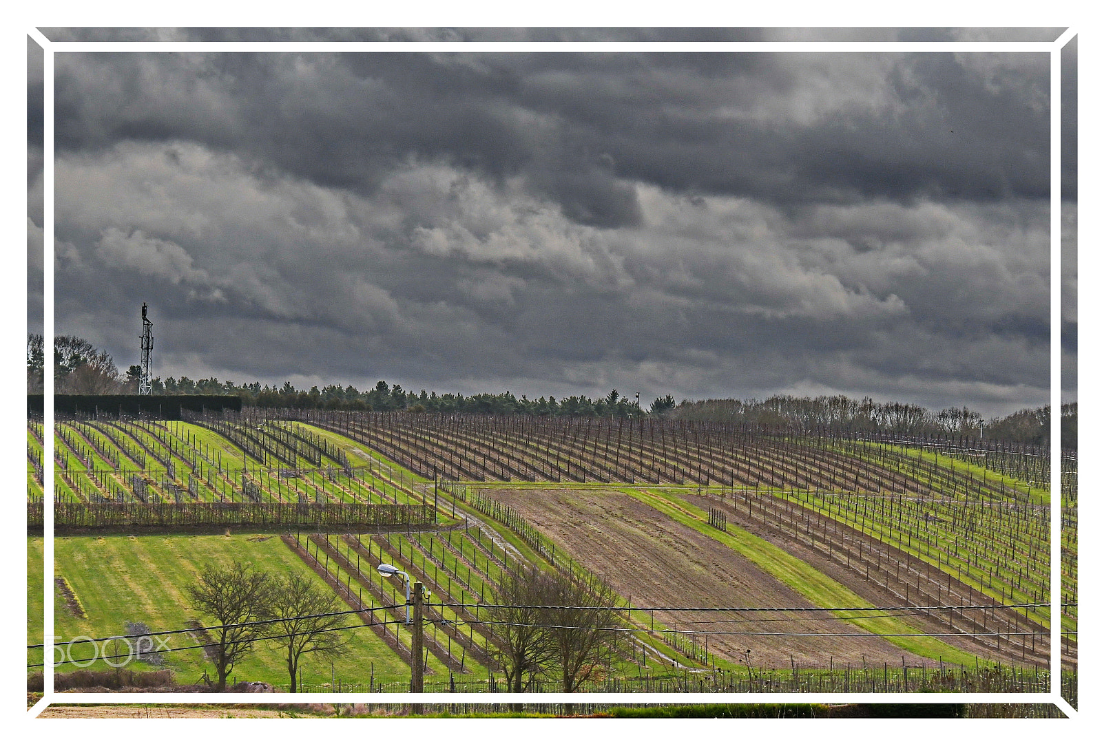 Nikon D500 sample photo. Dreiging photography