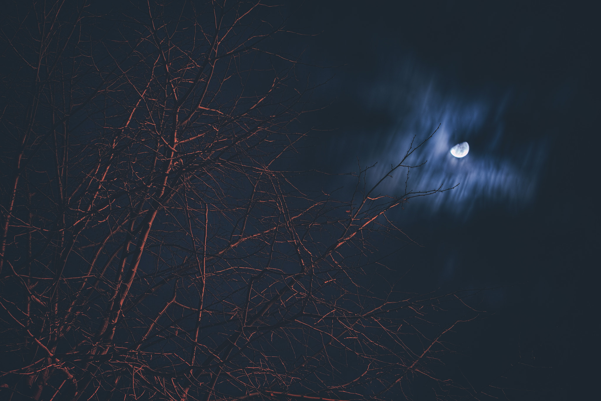 Canon EF 70-200mm F2.8L USM sample photo. Crimson frequency photography