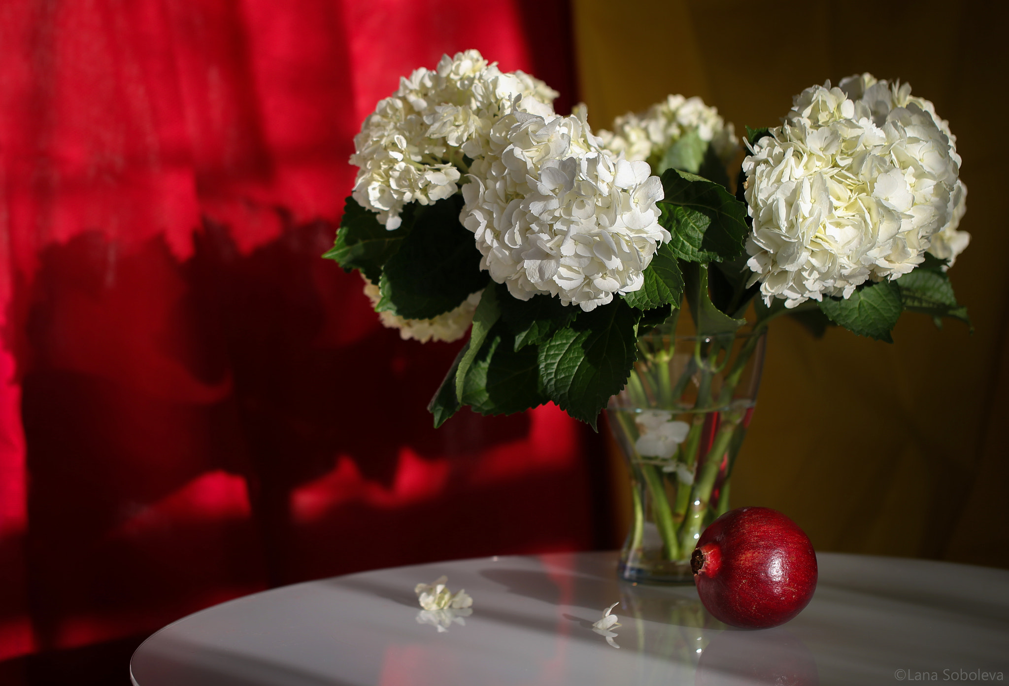 Canon EF 100mm F2.8L Macro IS USM sample photo. Hydrangea and a pomegranate photography