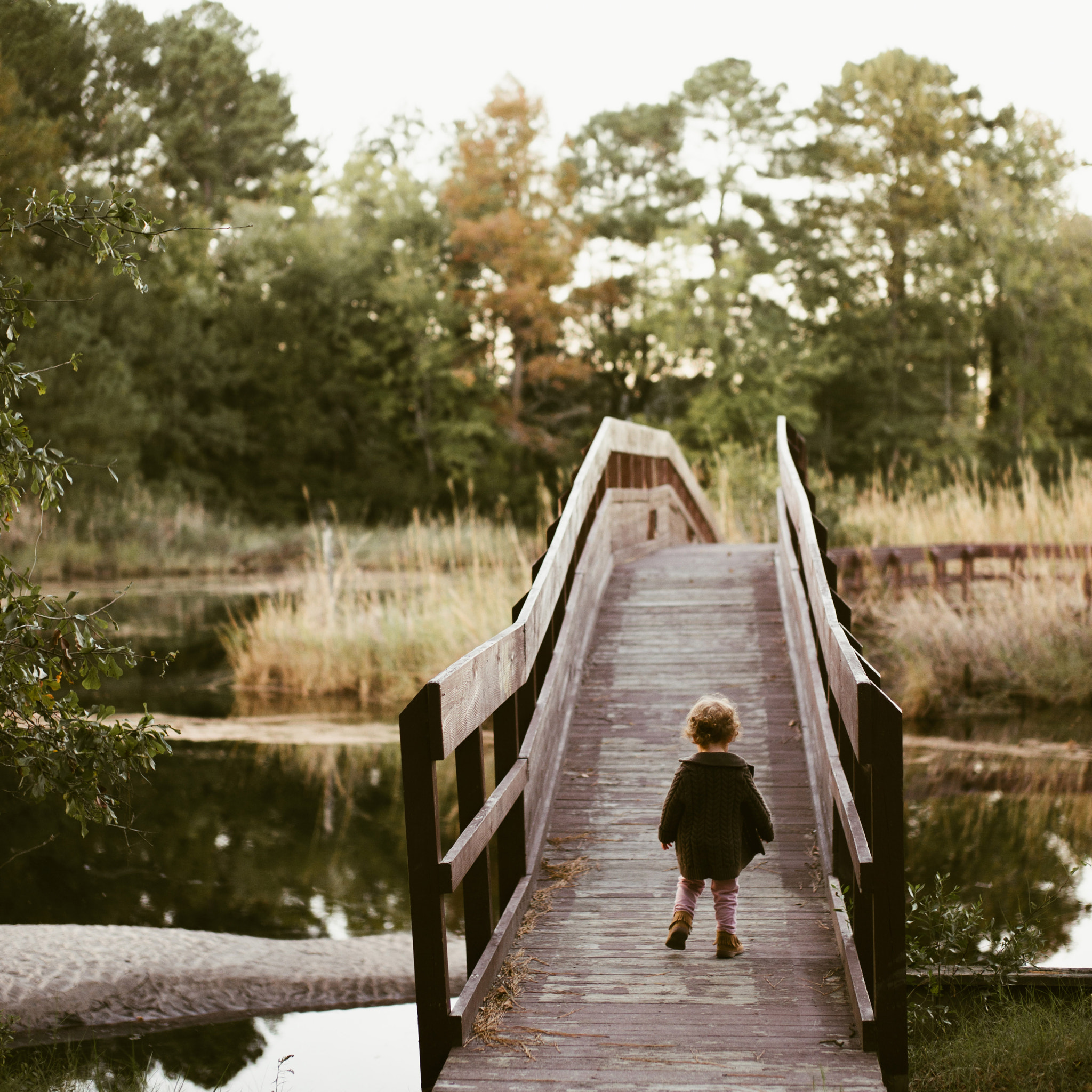 Leica Summilux-M 50mm F1.4 ASPH sample photo. Deep creek lock park photography