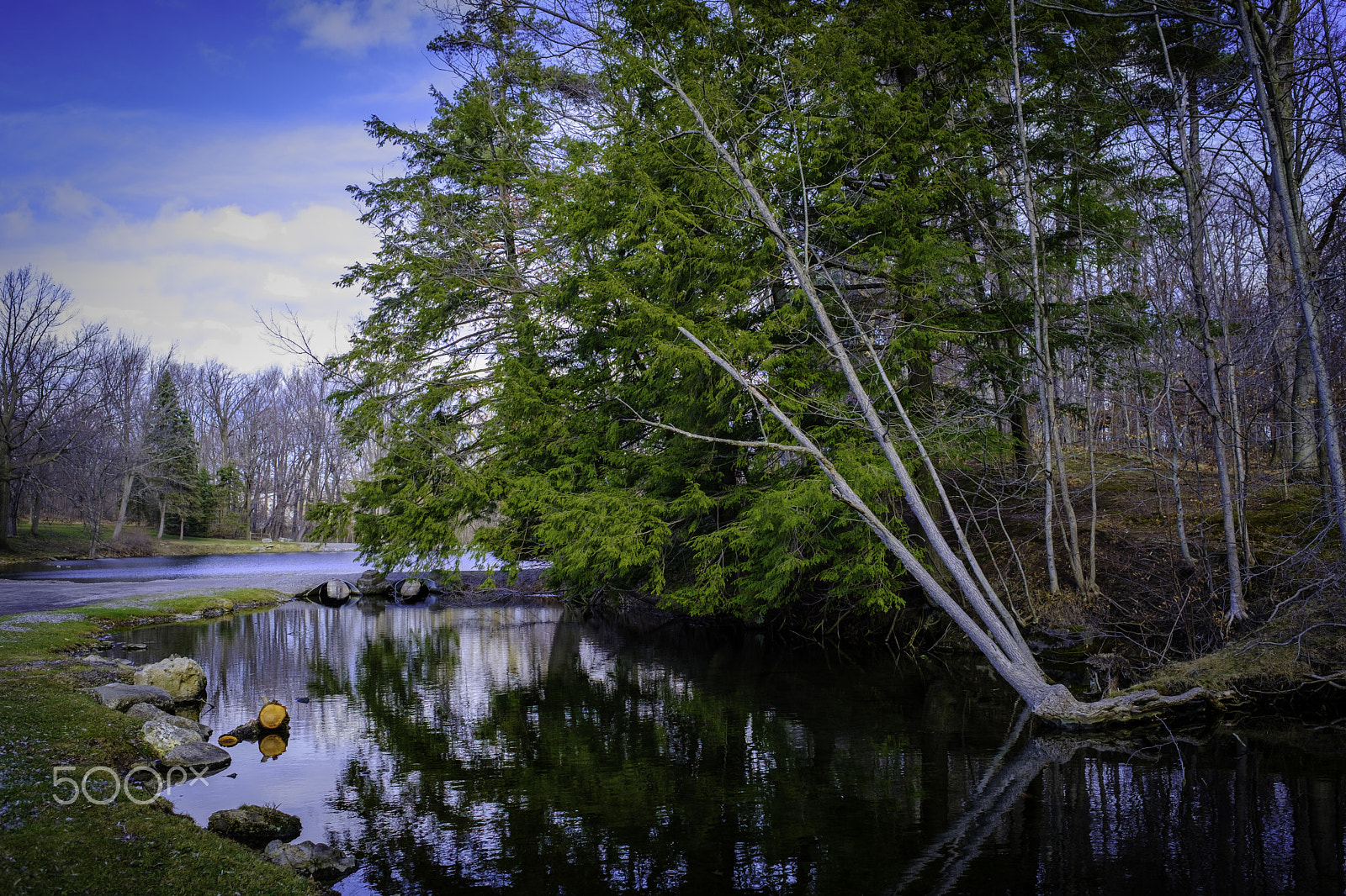 Fujifilm X-Pro2 + Fujifilm XF 23mm F1.4 R sample photo. Clarence park photography