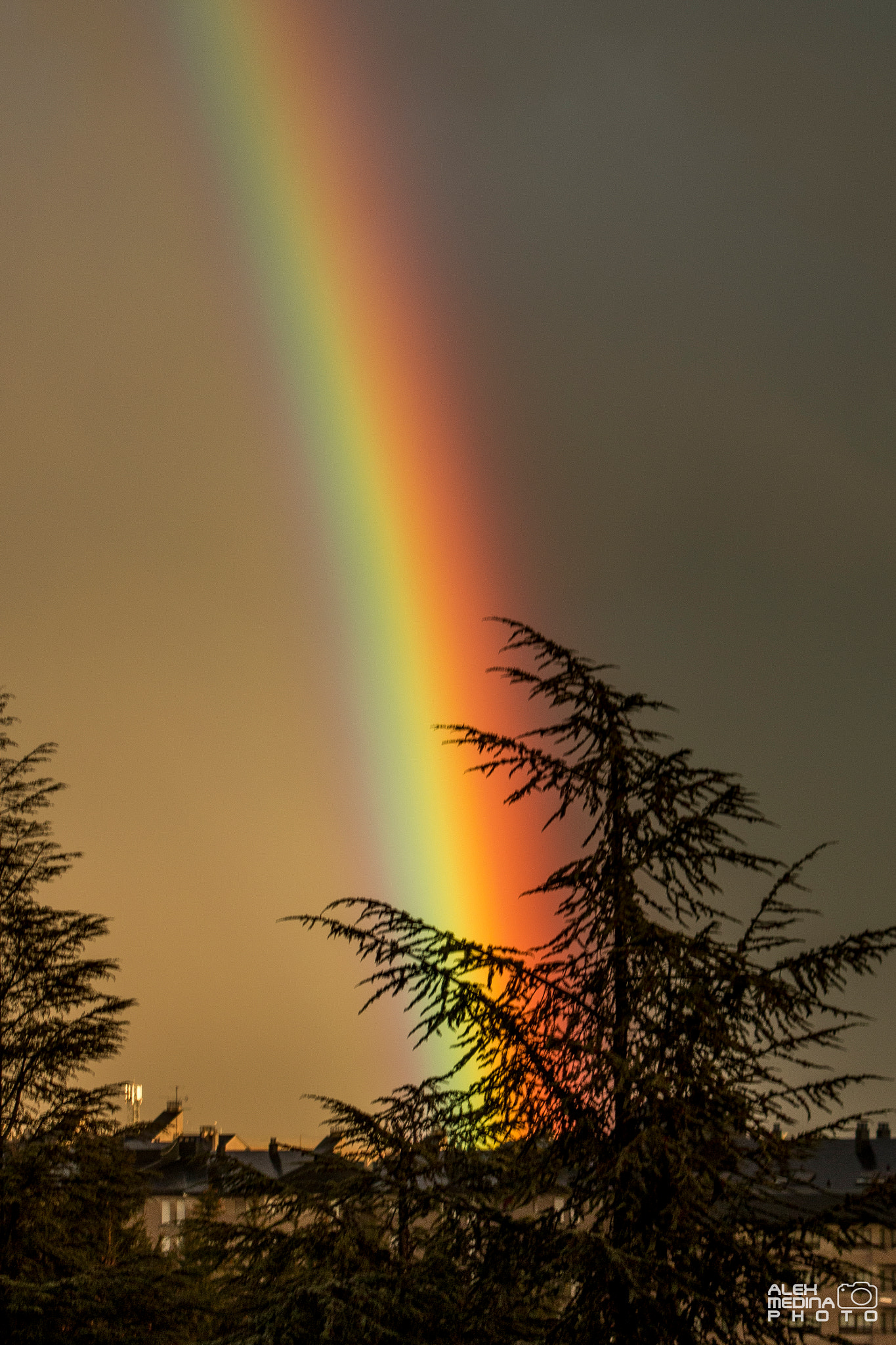 Canon EOS 70D + Canon EF 55-200mm F4.5-5.6 II USM sample photo. Rainbow photography