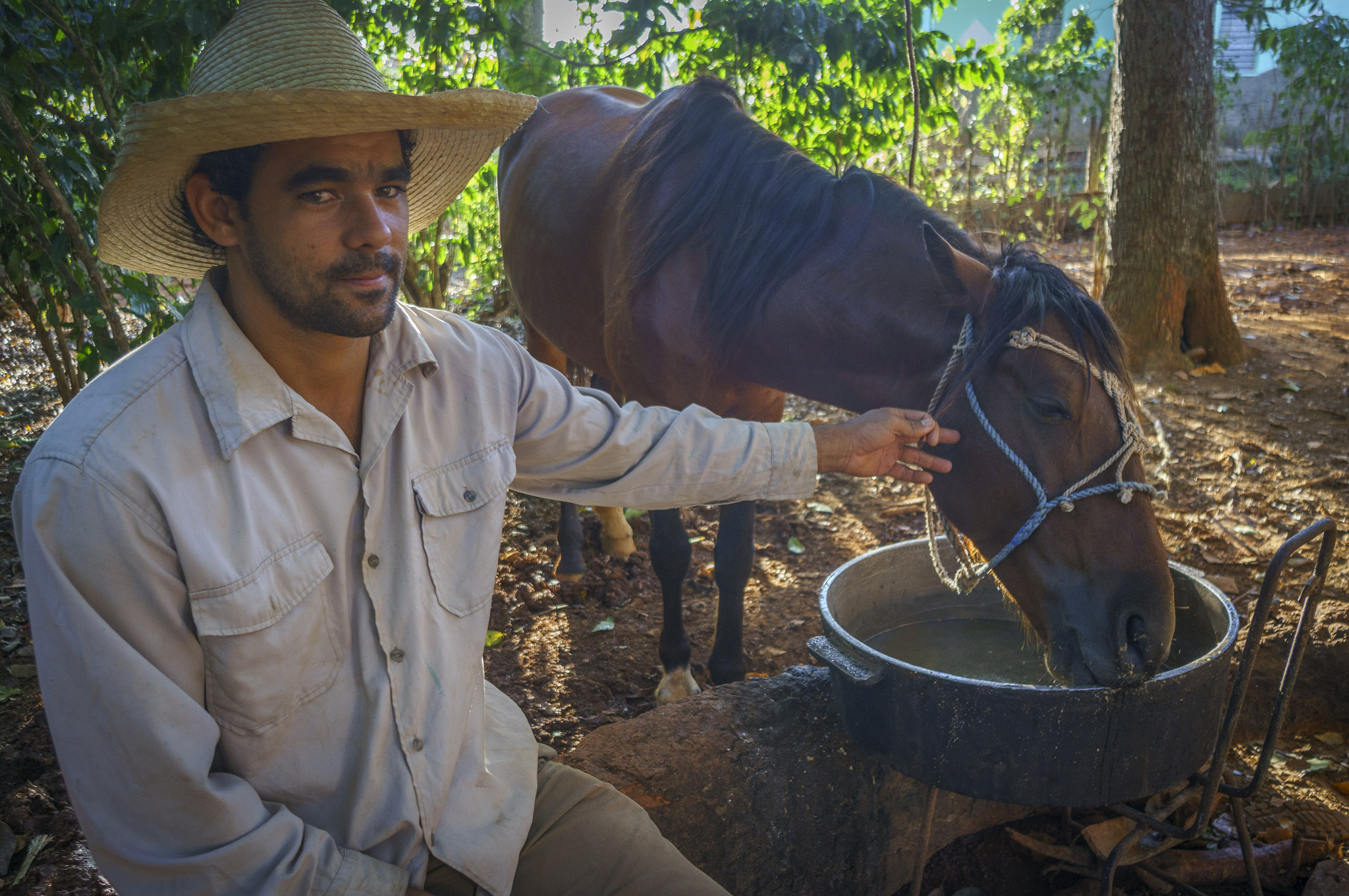 Sony Alpha NEX-6 + Sony E 10-18mm F4 OSS sample photo. Leading a horse to water photography