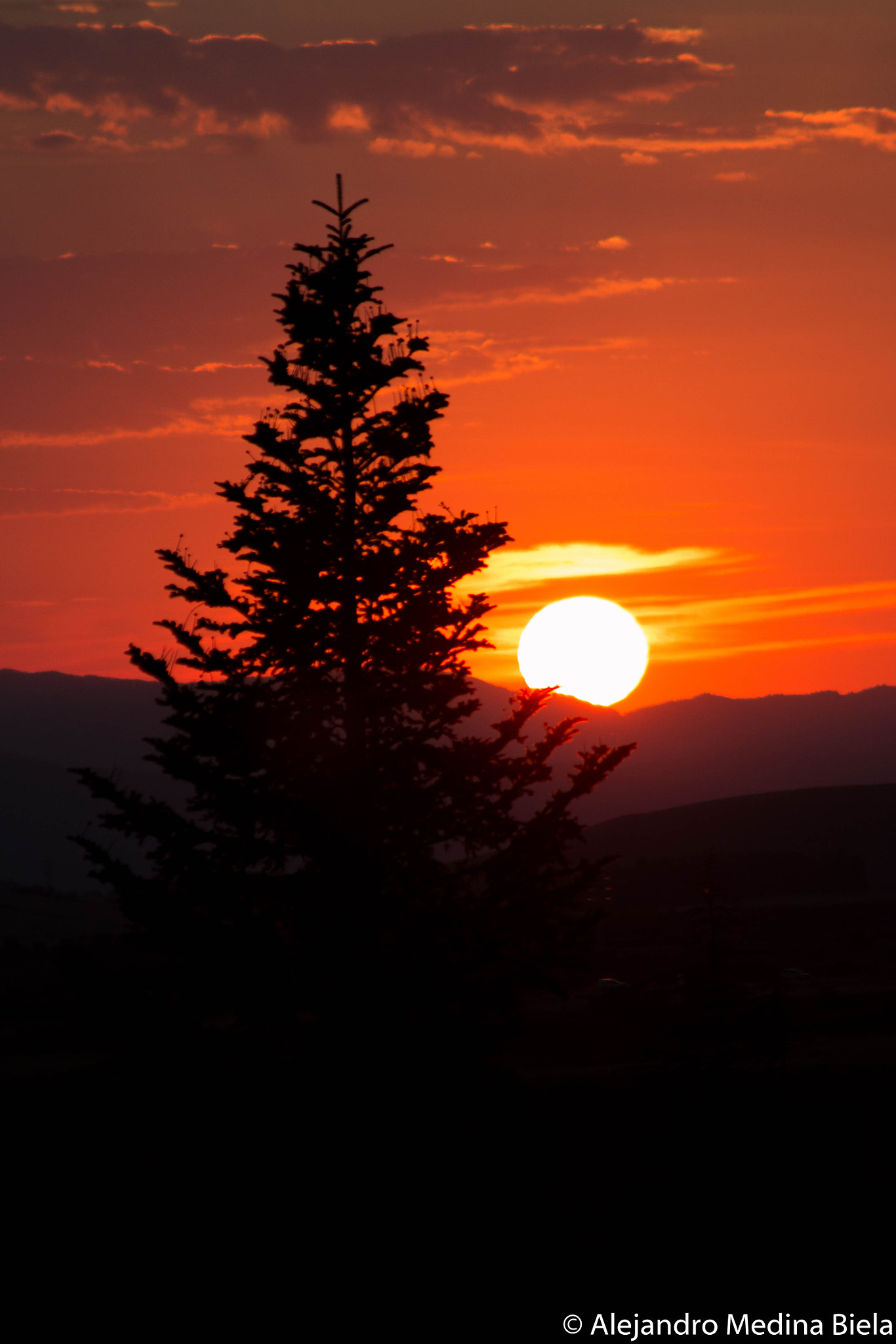 Canon EOS 70D sample photo. Colors of fall photography