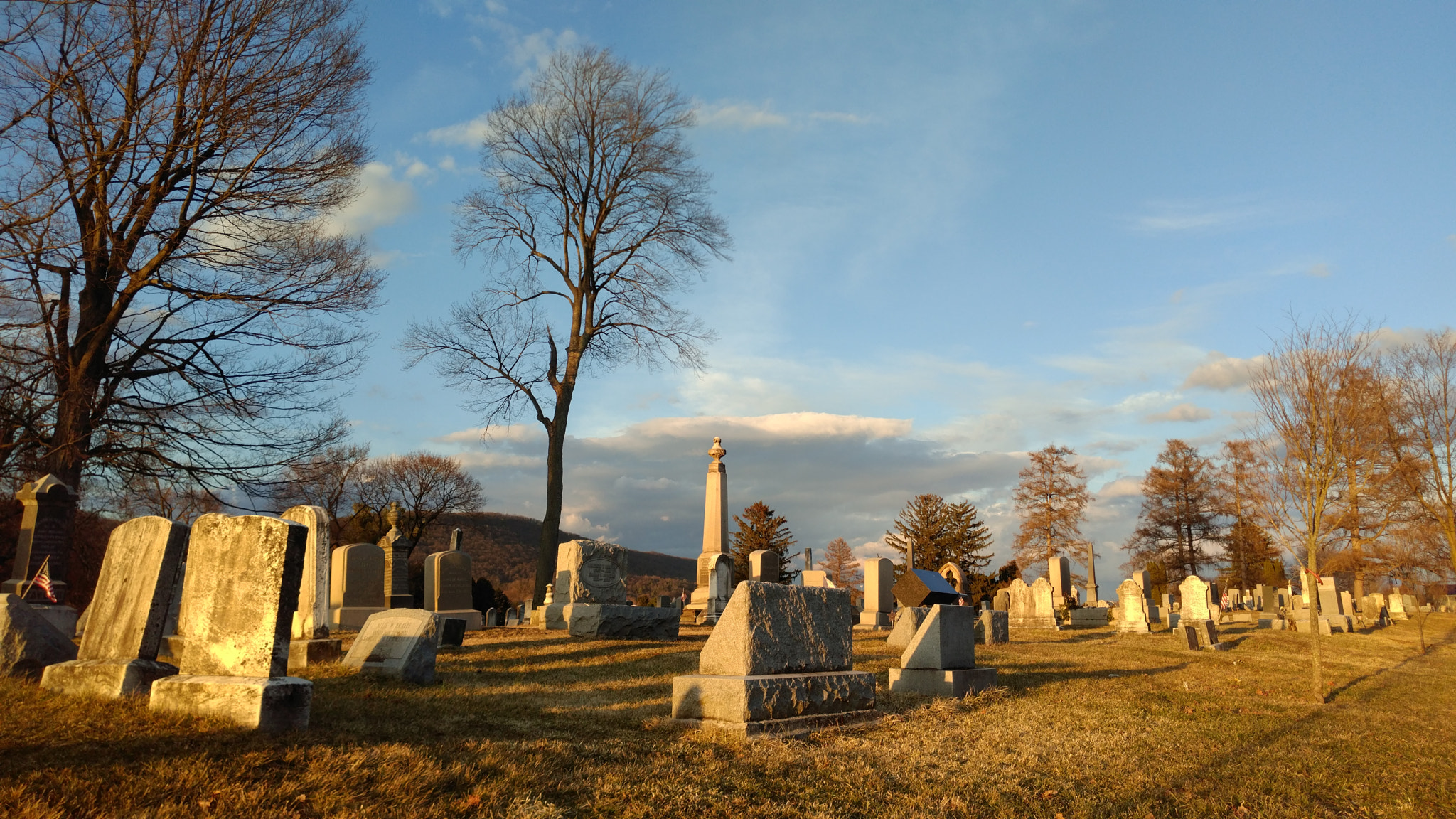 ZTE A2017U sample photo. The cemetery was bathed in golden light photography