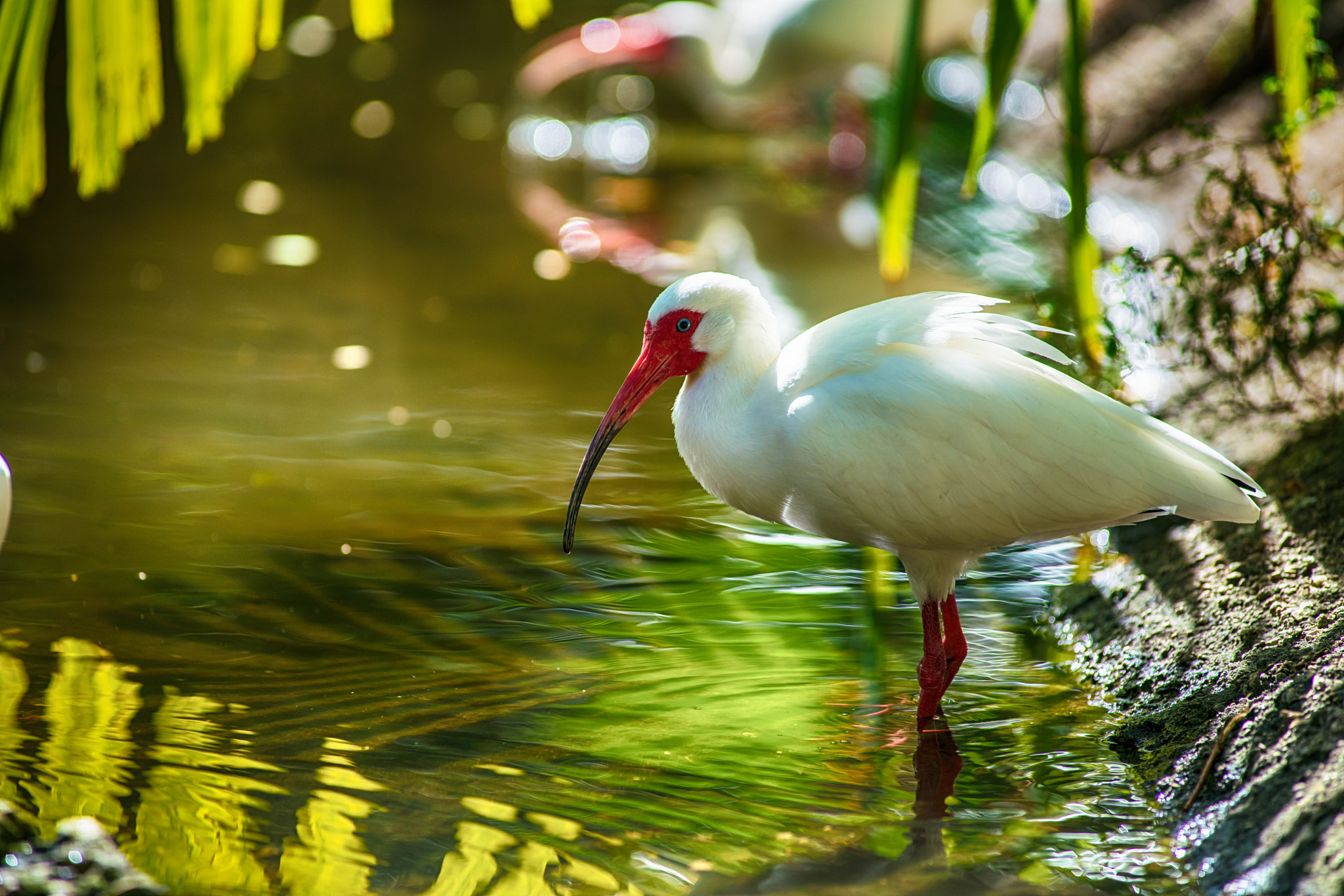 Minolta AF 80-200mm F2.8 HS-APO G sample photo. Intimate waters photography