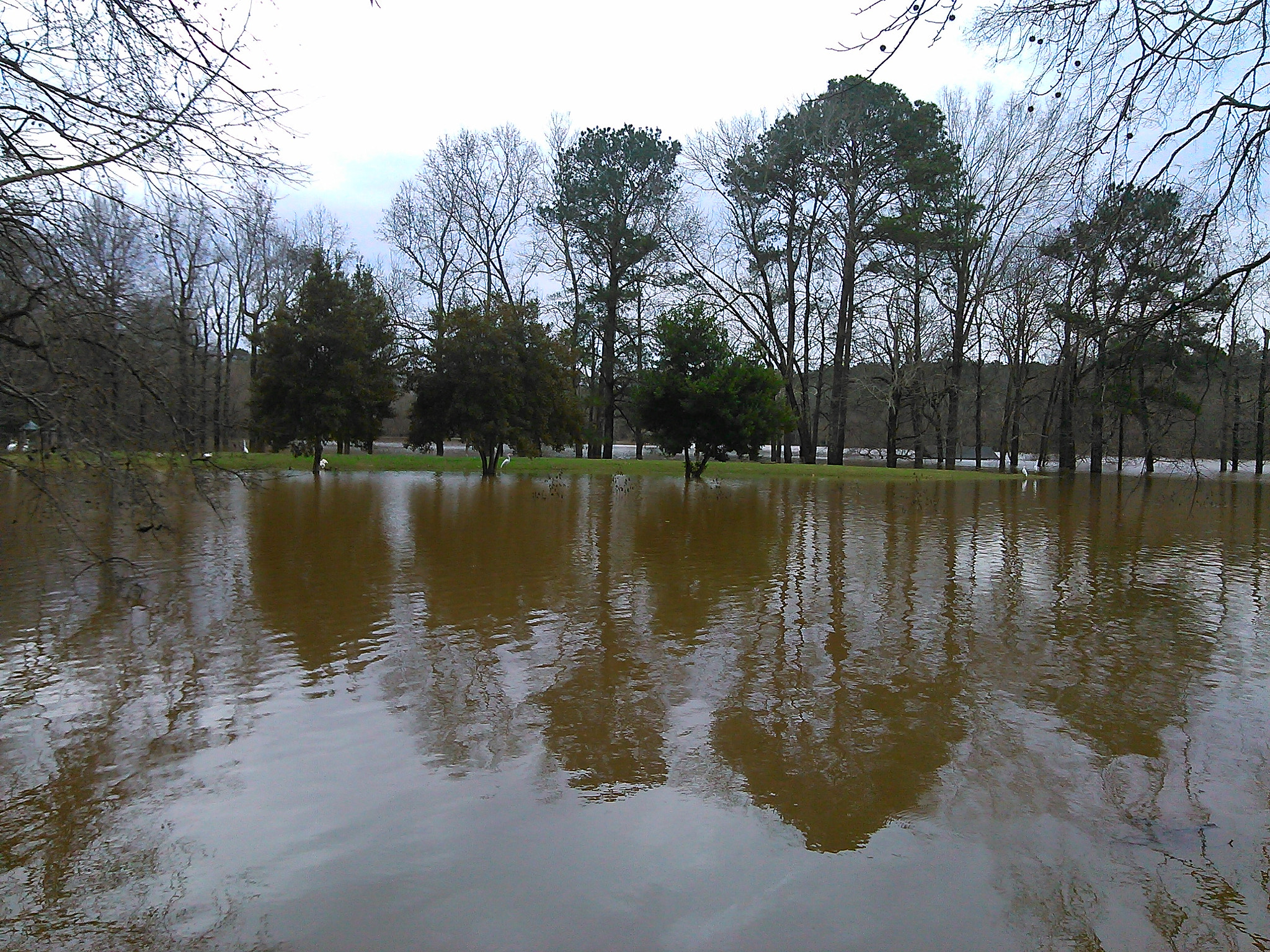 QCOM-AA QCAM-AA sample photo. After the storm reflection photography