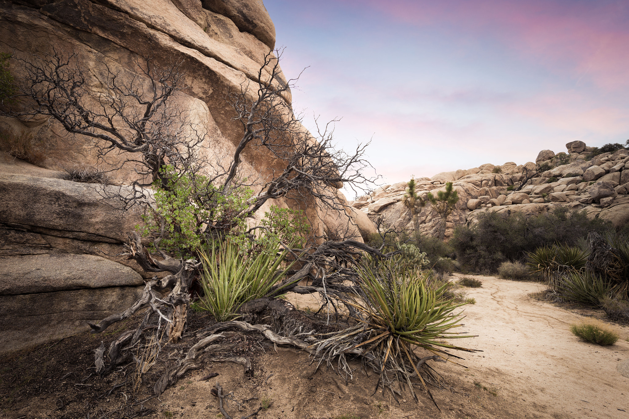 Canon EOS 6D + Canon EF 11-24mm F4L USM sample photo. Barker dam trail photography