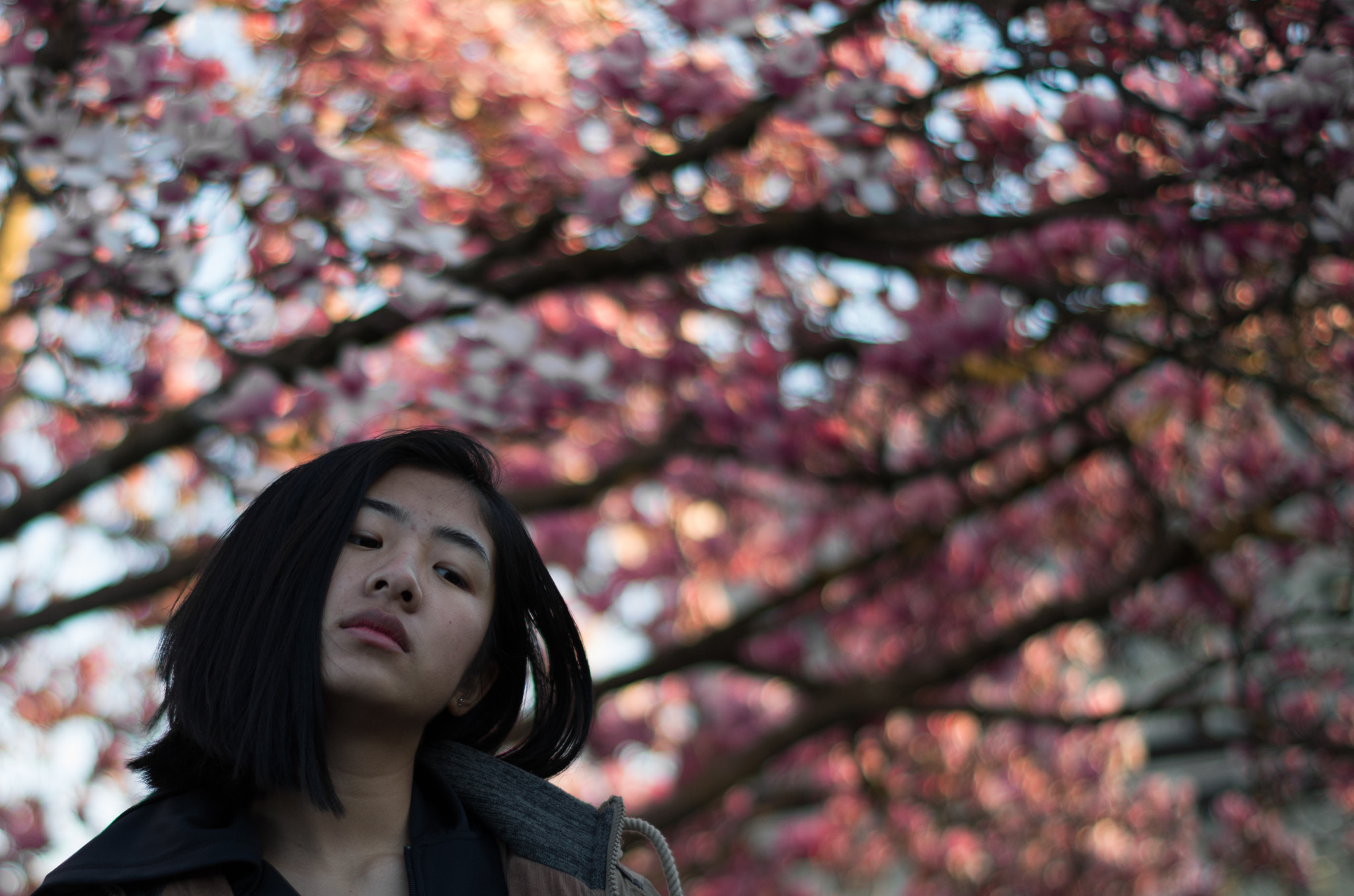 Pentax K-50 + Pentax smc DA 50mm F1.8 sample photo. Jun photography