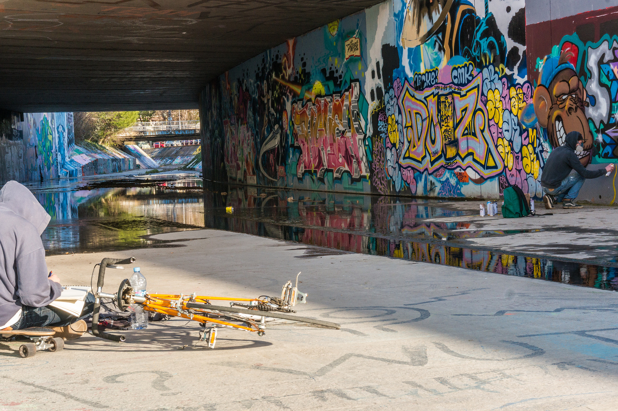 Sony Alpha NEX-5R sample photo. Street art photography