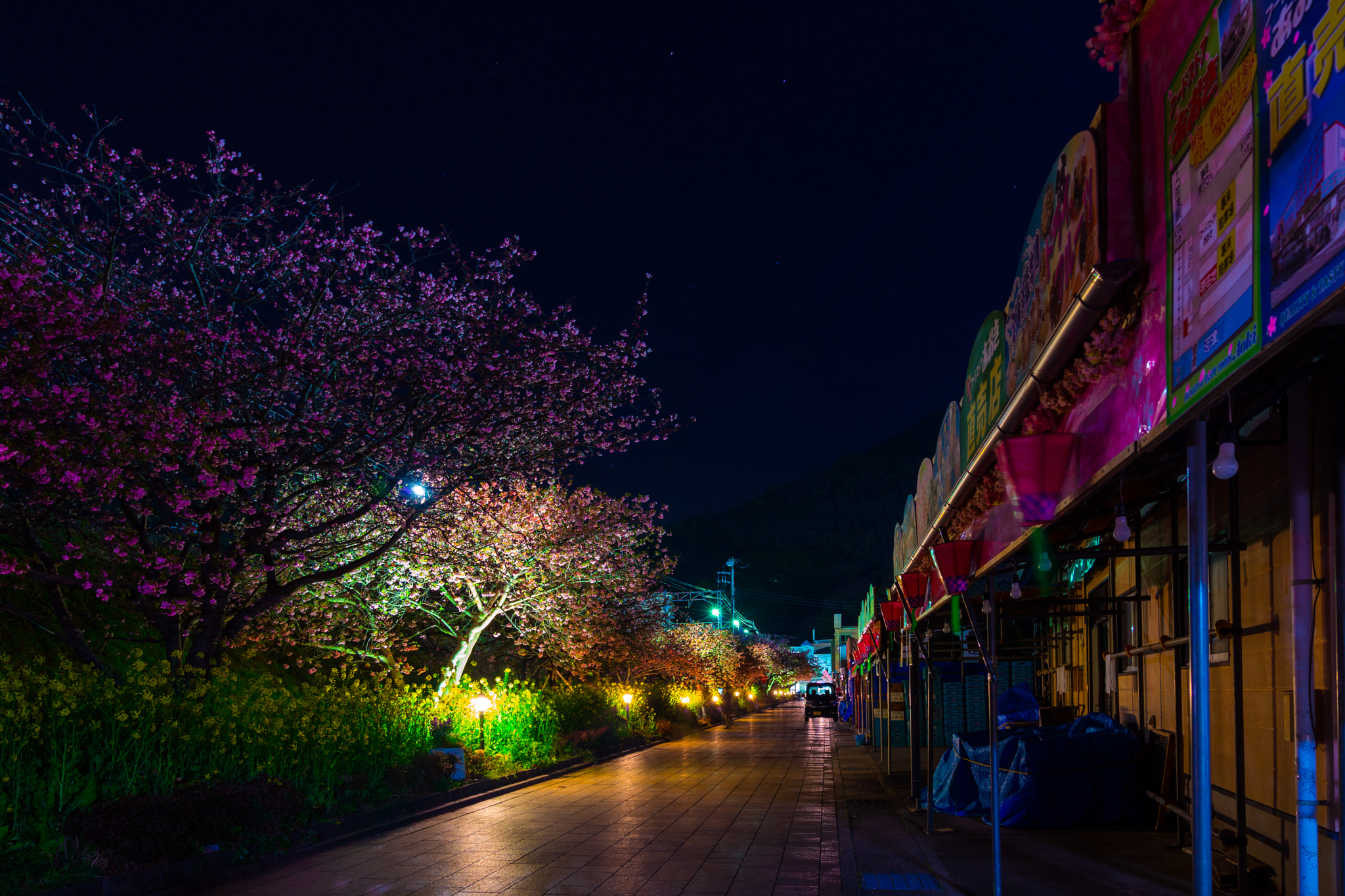 Sony a7 II + Sony FE 24-70mm F2.8 GM sample photo