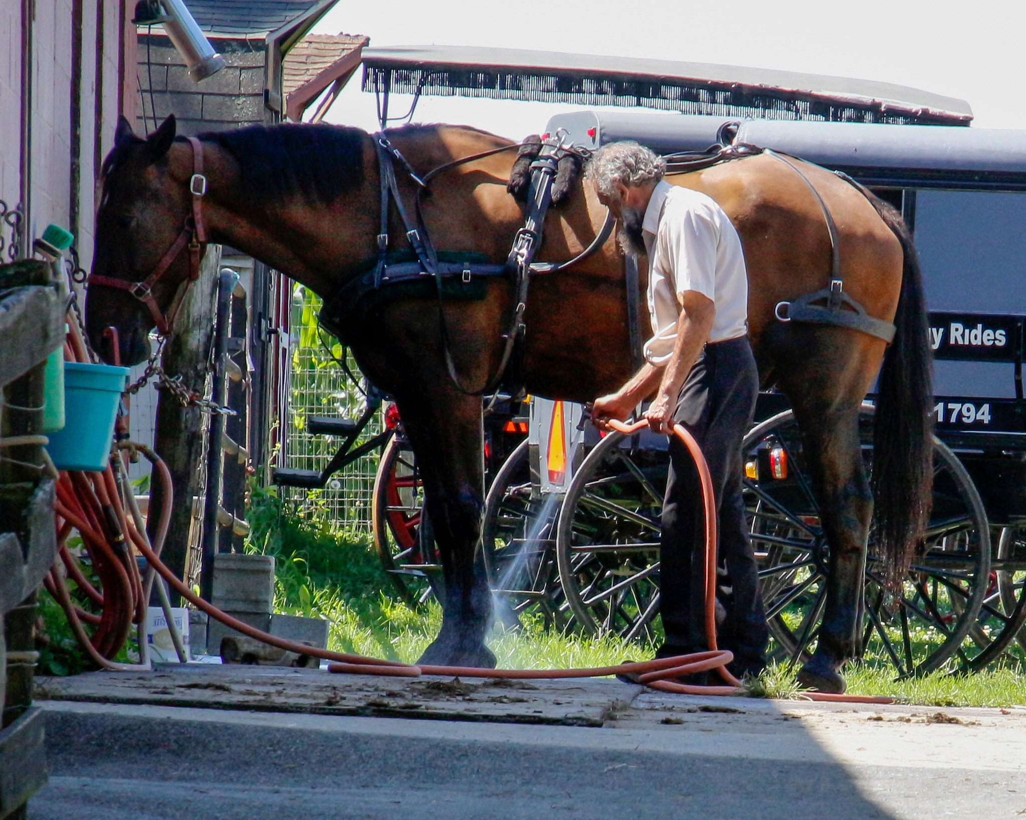 Canon EOS 700D (EOS Rebel T5i / EOS Kiss X7i) sample photo. Cooling down photography