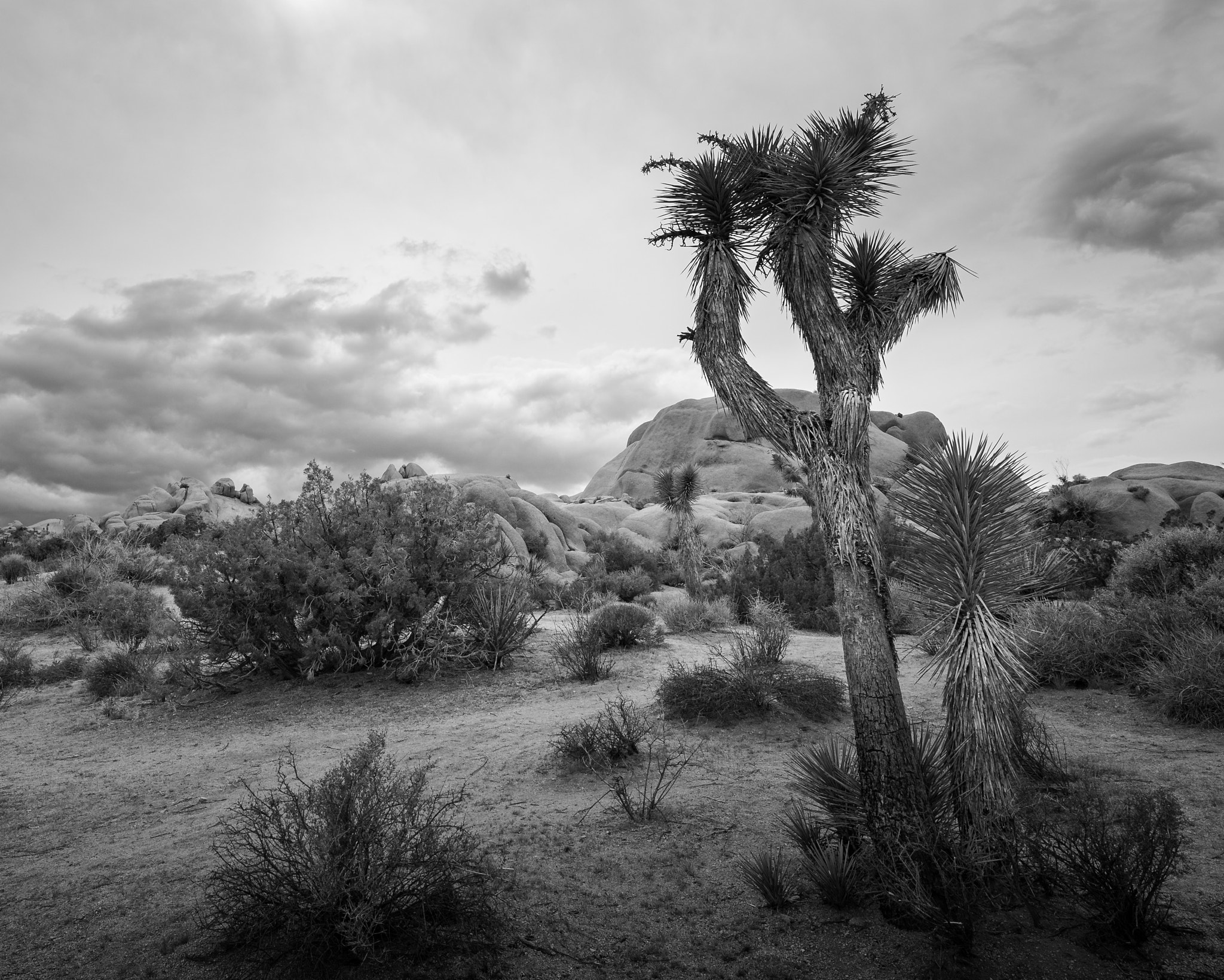 Canon EOS 6D + Canon EF 11-24mm F4L USM sample photo. Bighorn pass photography