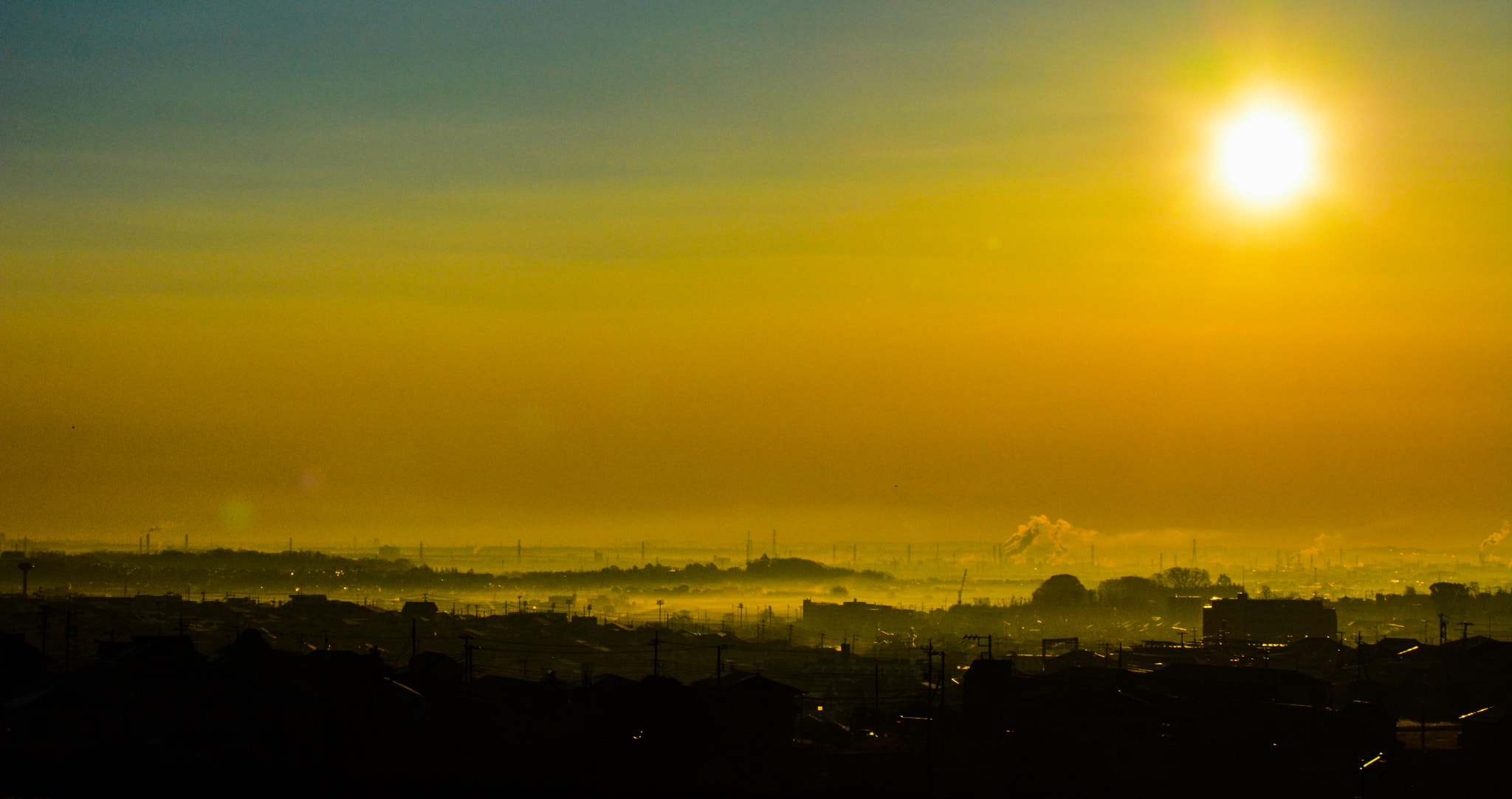 Nikon D5200 + Sigma 50-500mm F4.5-6.3 DG OS HSM sample photo. 朝霧(秦野市) photography