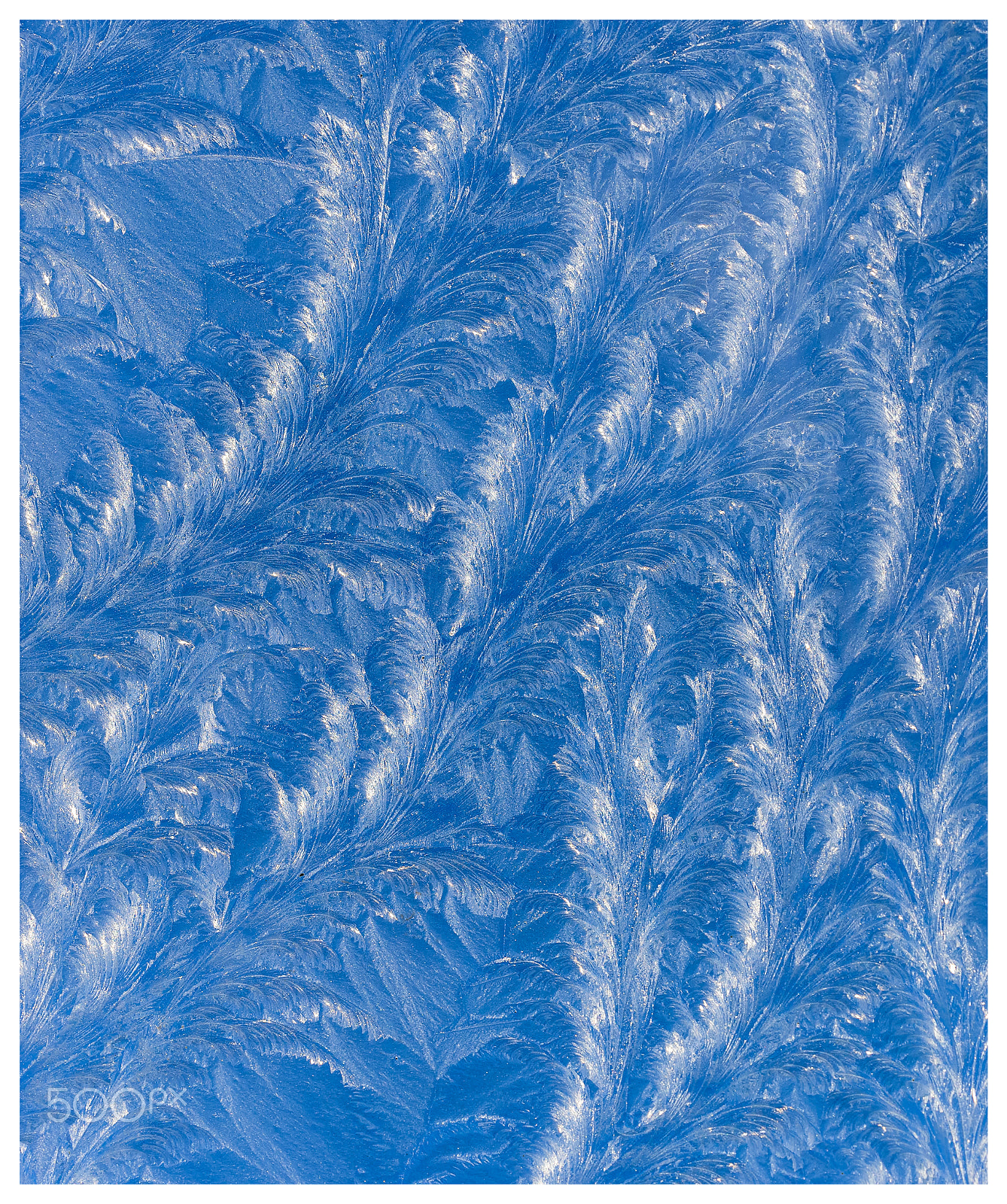 Nikon AF-S Nikkor 18-35mm F3.5-4.5G ED sample photo. Frost pattern's photography