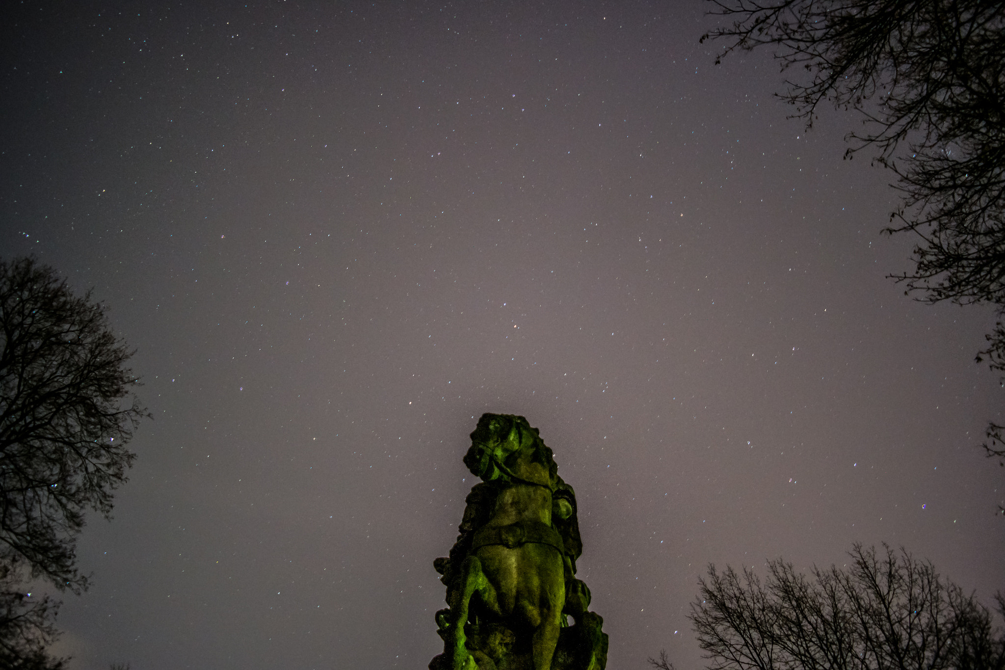Samsung NX300 + Samsung NX 18-55mm F3.5-5.6 OIS sample photo. A hourse and the stars photography