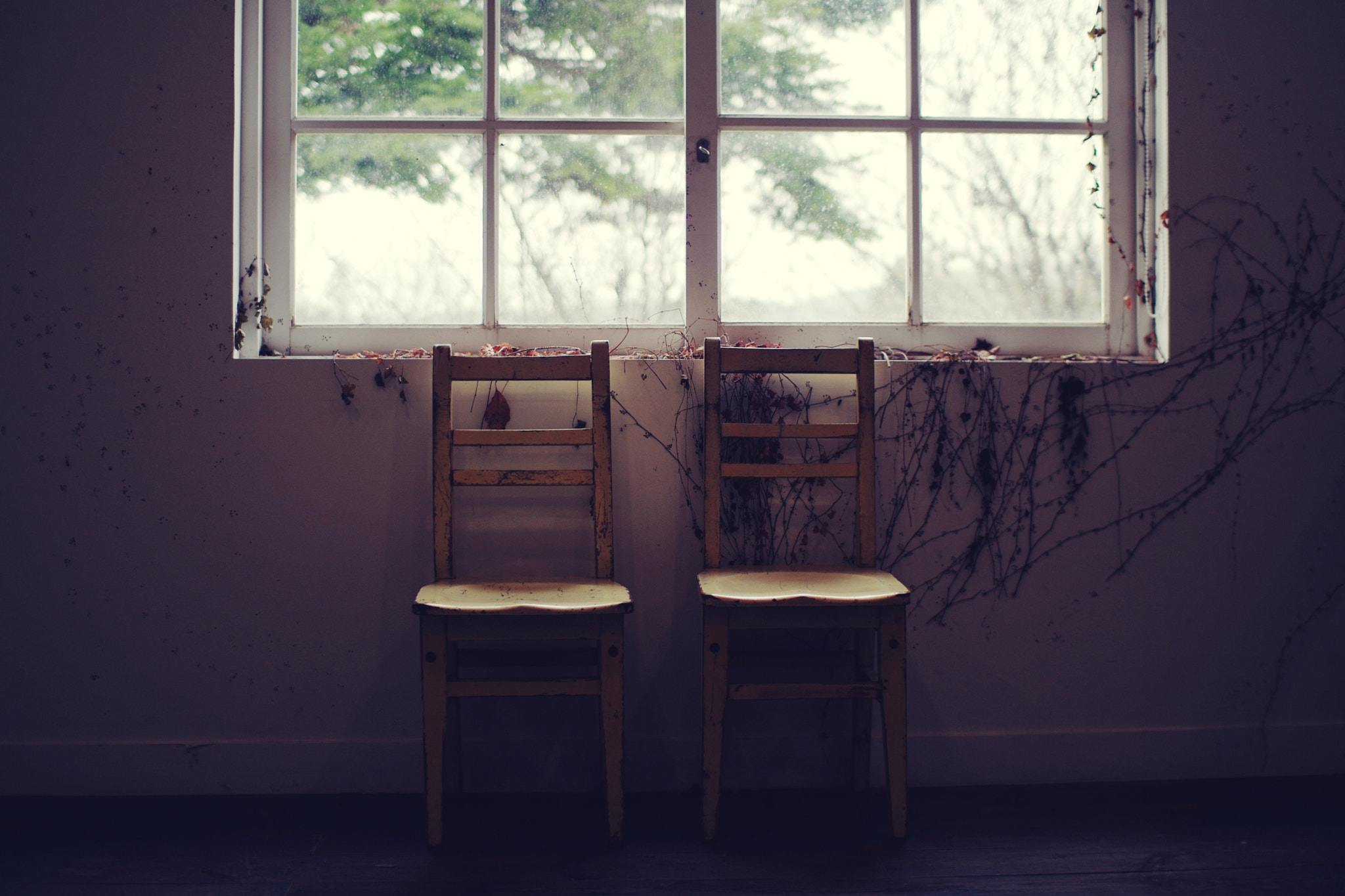 Pentax K-3 sample photo. Window and chairs photography