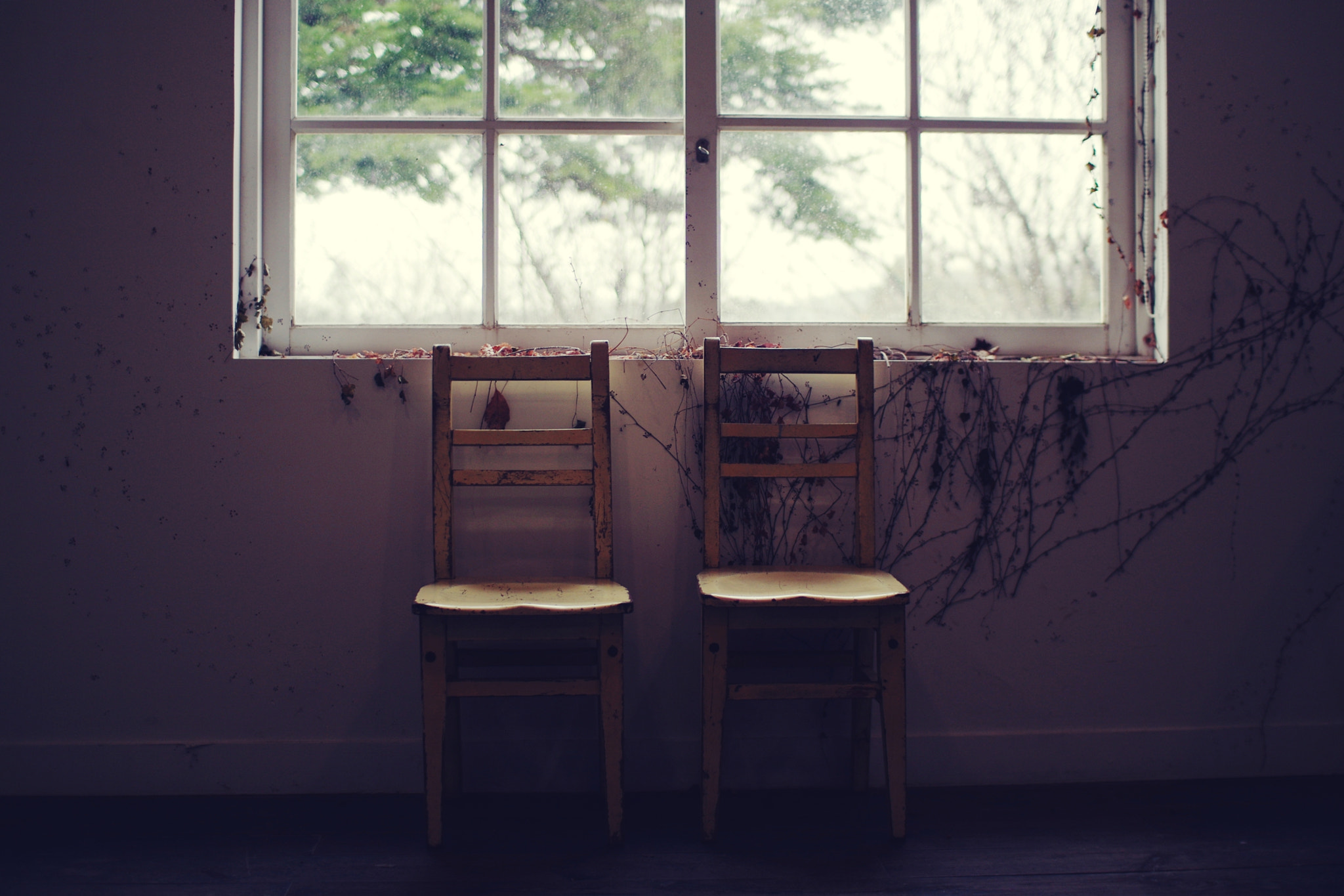 Pentax K-3 + Sigma sample photo. Window and chairs photography