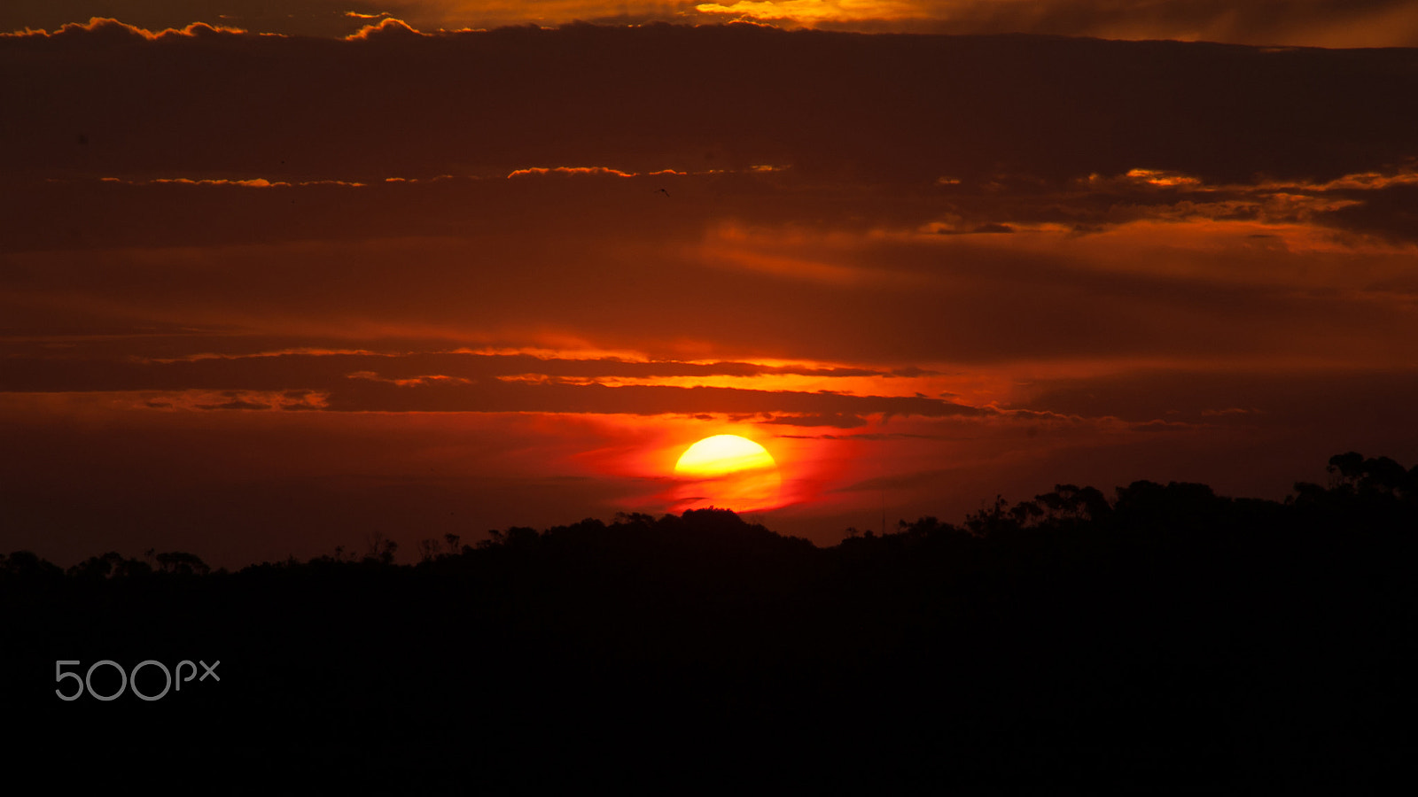 Nikon D50 sample photo. Atardecer sobre el parque photography