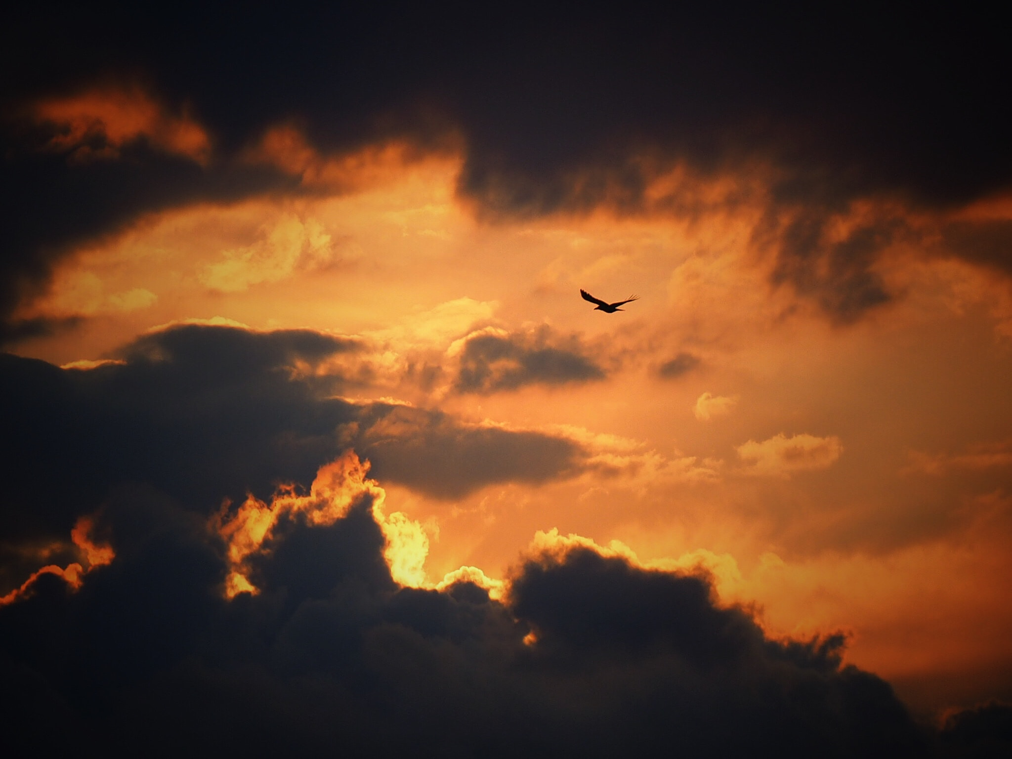 Olympus OM-D E-M1 sample photo. On my way home photography