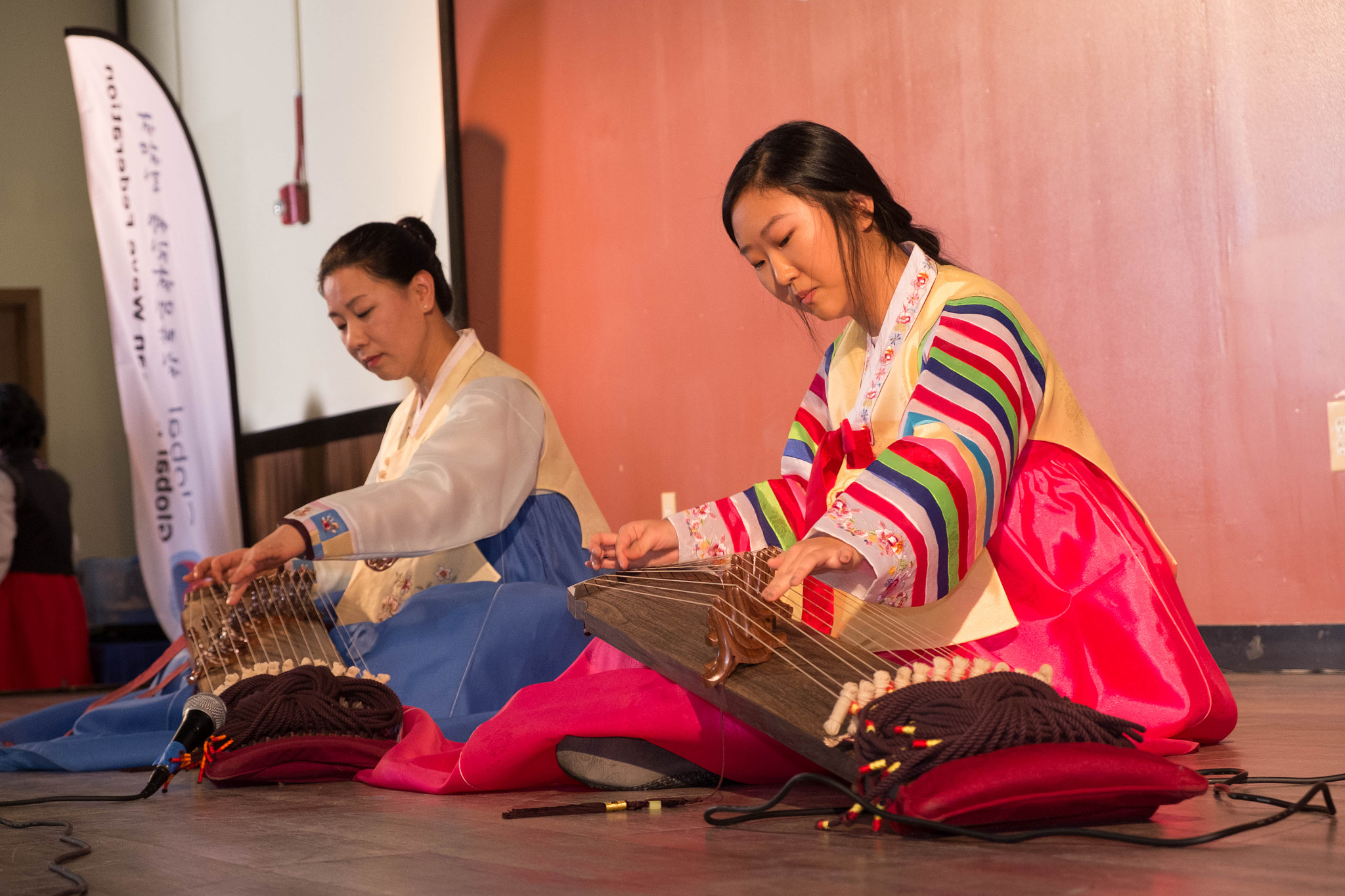 Fujifilm X-Pro1 + Fujifilm XF 18-55mm F2.8-4 R LM OIS sample photo. Koreafest raleigh 2017 photography