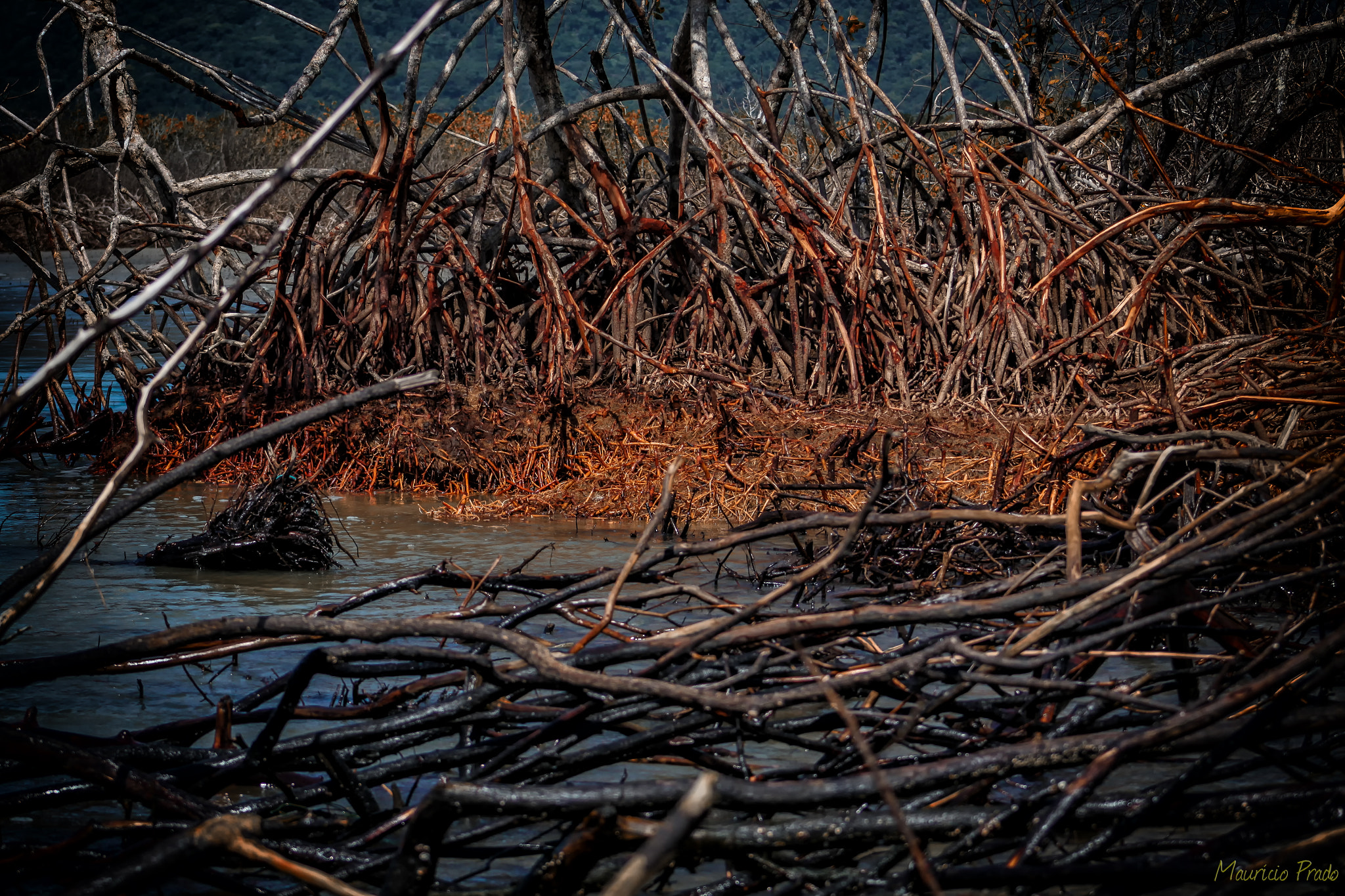 Canon EOS 50D + EF75-300mm f/4-5.6 sample photo. Waiting the tide ... photography