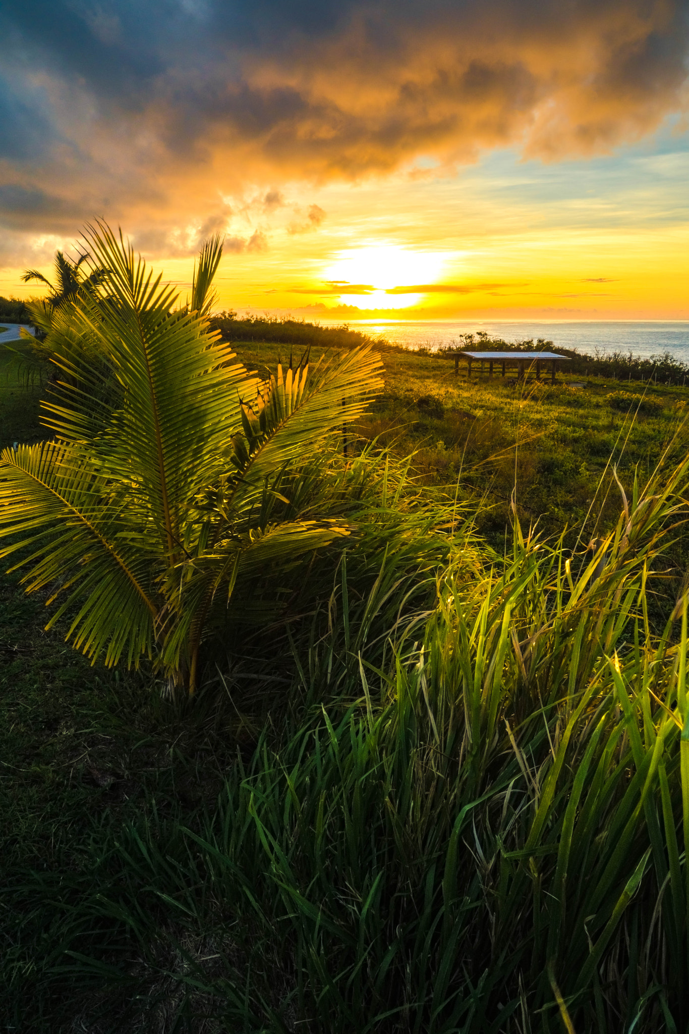 Sony a7R II + ZEISS Batis 25mm F2 sample photo. Amazing sunset photography