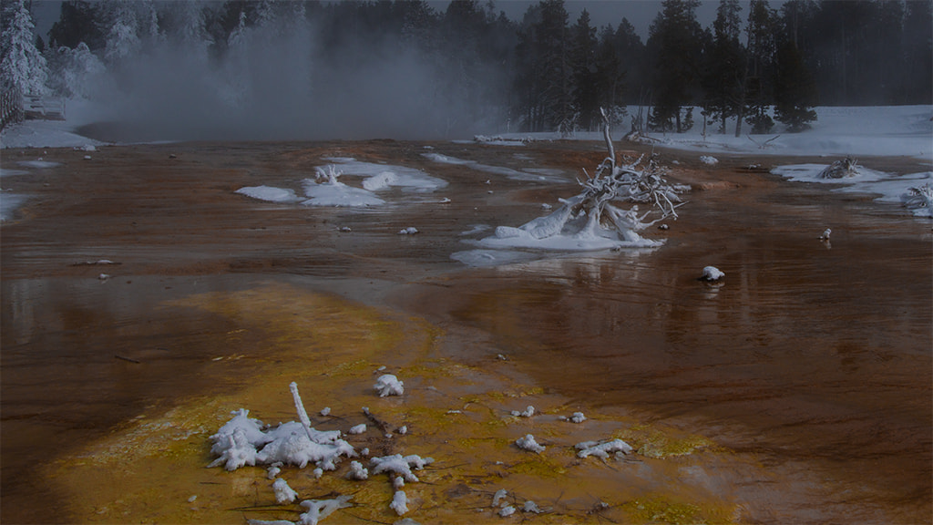 Nikon D500 + Sigma 18-35mm F1.8 DC HSM Art sample photo. Winter yellowstone! photography