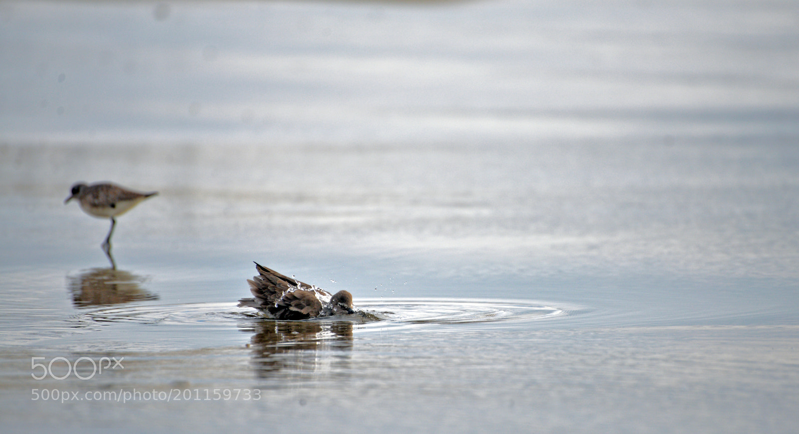 Nikon D610 sample photo. Untitled photography