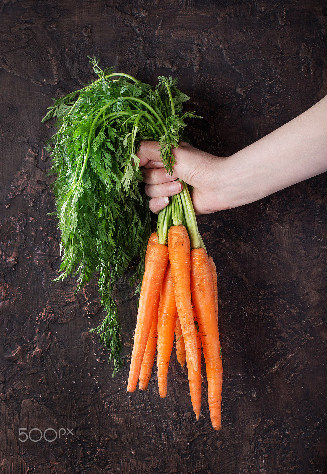 Canon EF 100mm F2.8L Macro IS USM sample photo. Fresh organic carrots photography