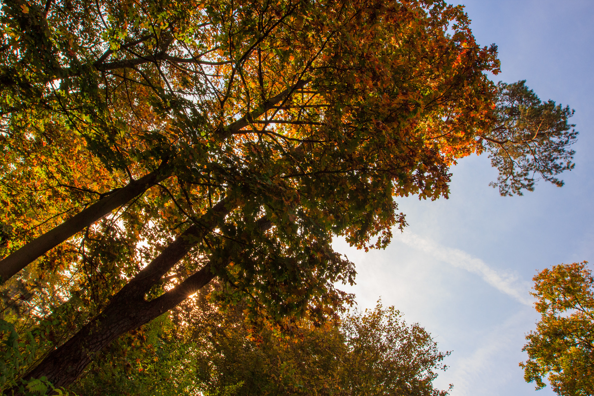 Canon EF 16-35mm F2.8L II USM sample photo. Un air d'automne photography