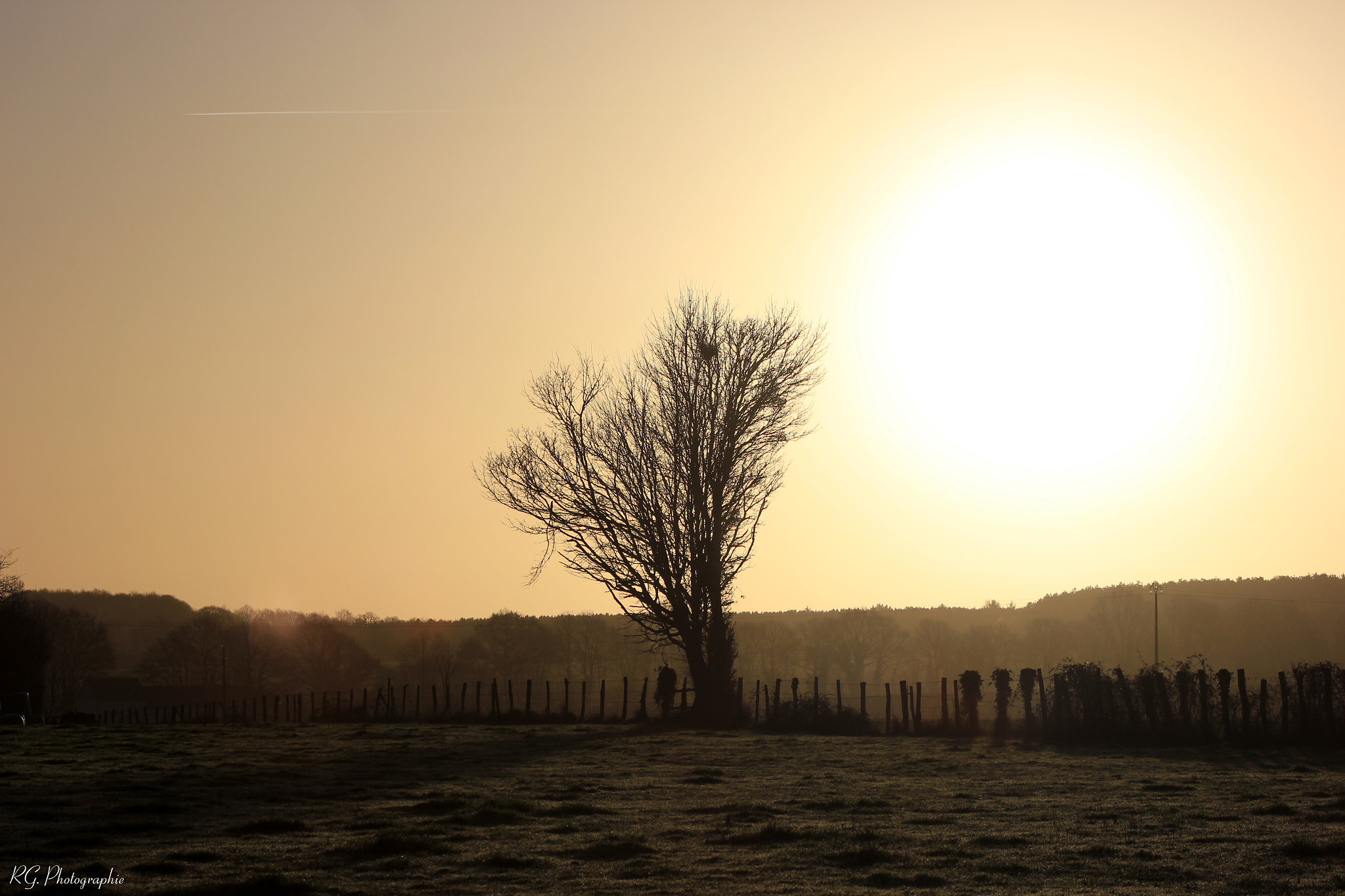 Canon EOS 550D (EOS Rebel T2i / EOS Kiss X4) + EF75-300mm f/4-5.6 sample photo. Sunrise in the countryside photography
