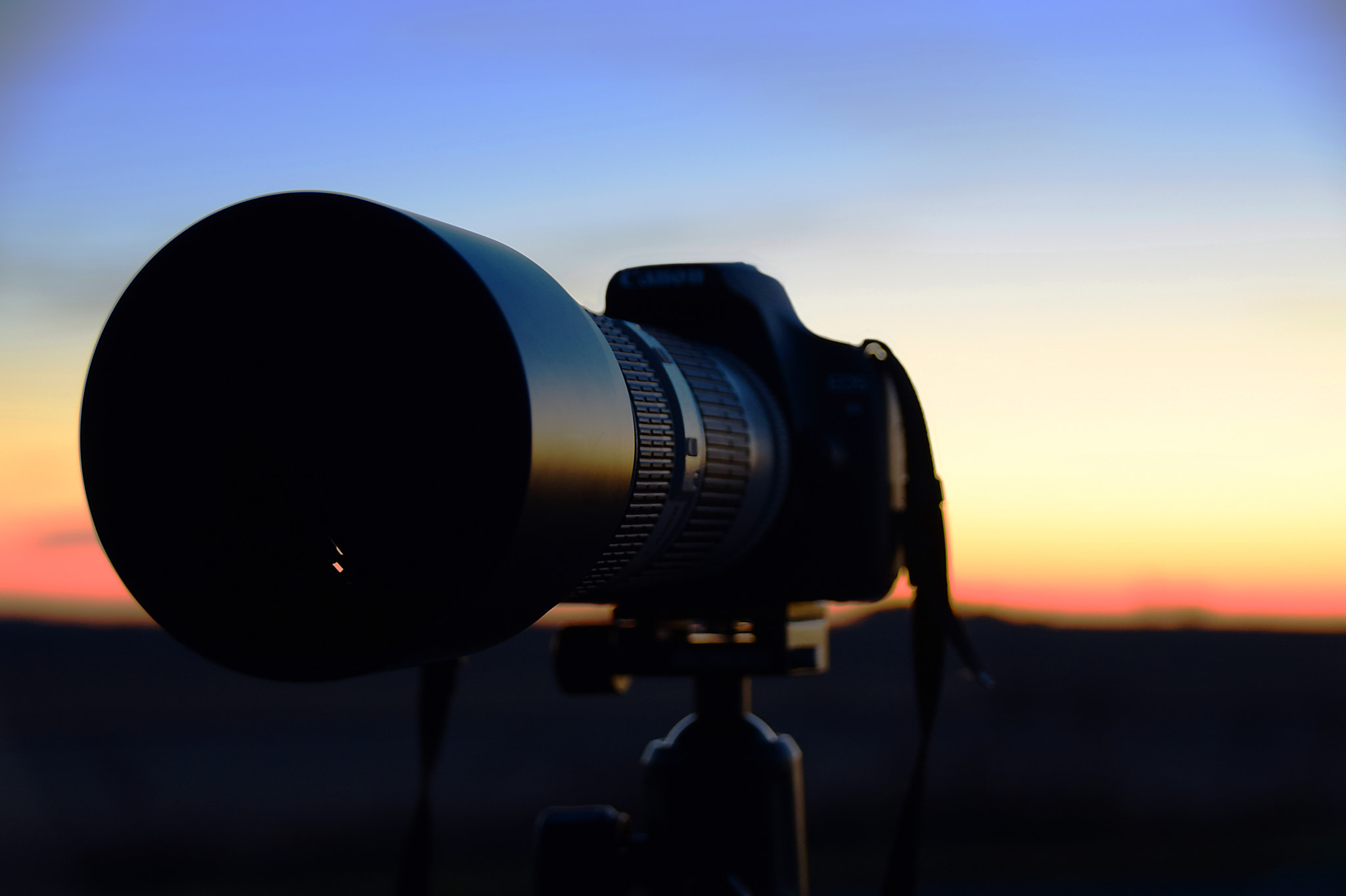 Sigma 18-250mm F3.5-6.3 DC Macro OS HSM sample photo. Bright and early photography