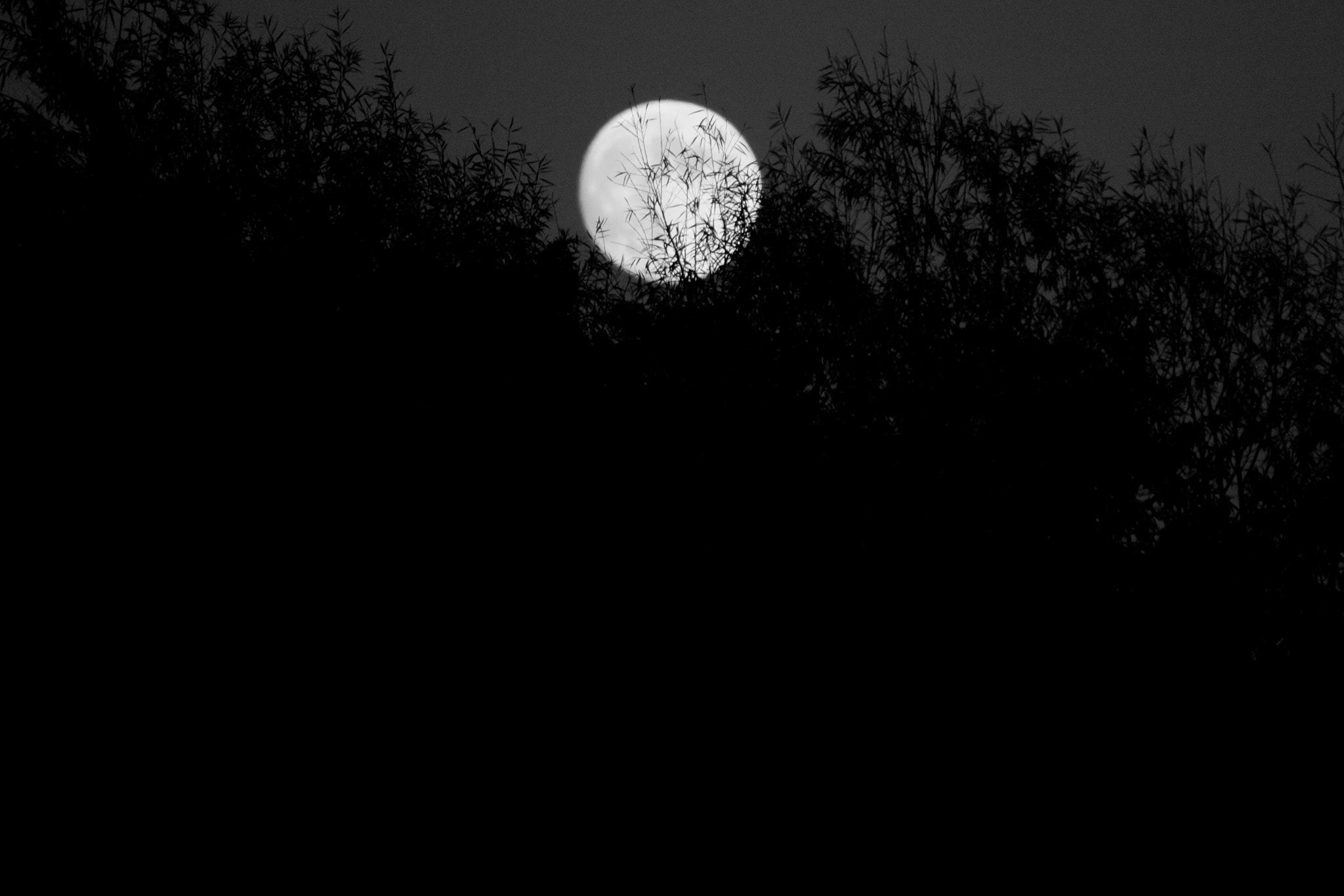 Canon EF-S 55-250mm F4-5.6 IS sample photo. Darkness will fall and the moon will rise photography