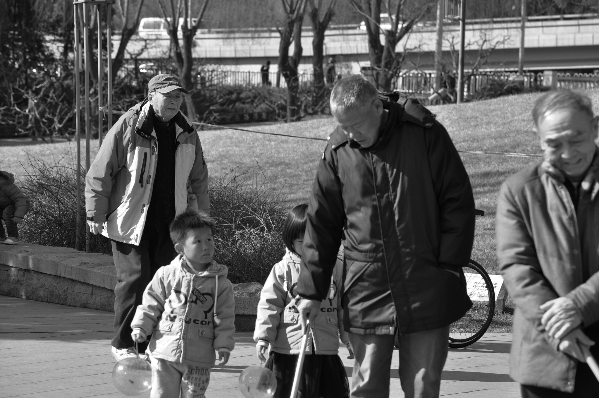 Nikon D5000 sample photo. Dsc_0258-2.jpg photography