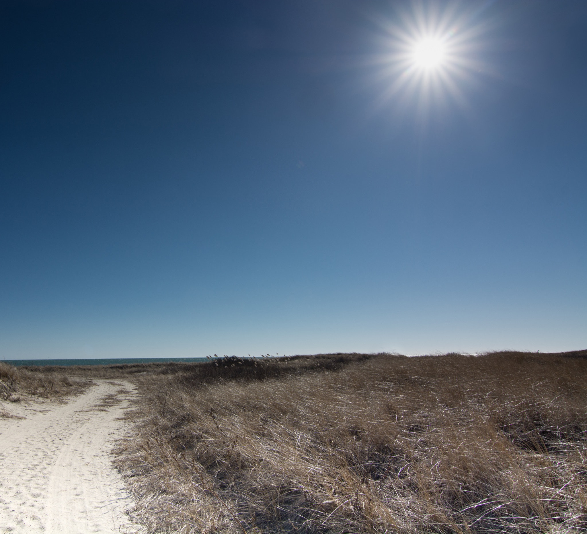 Tokina AT-X Pro 11-16mm F2.8 DX sample photo. Bright february sun over the dunes photography