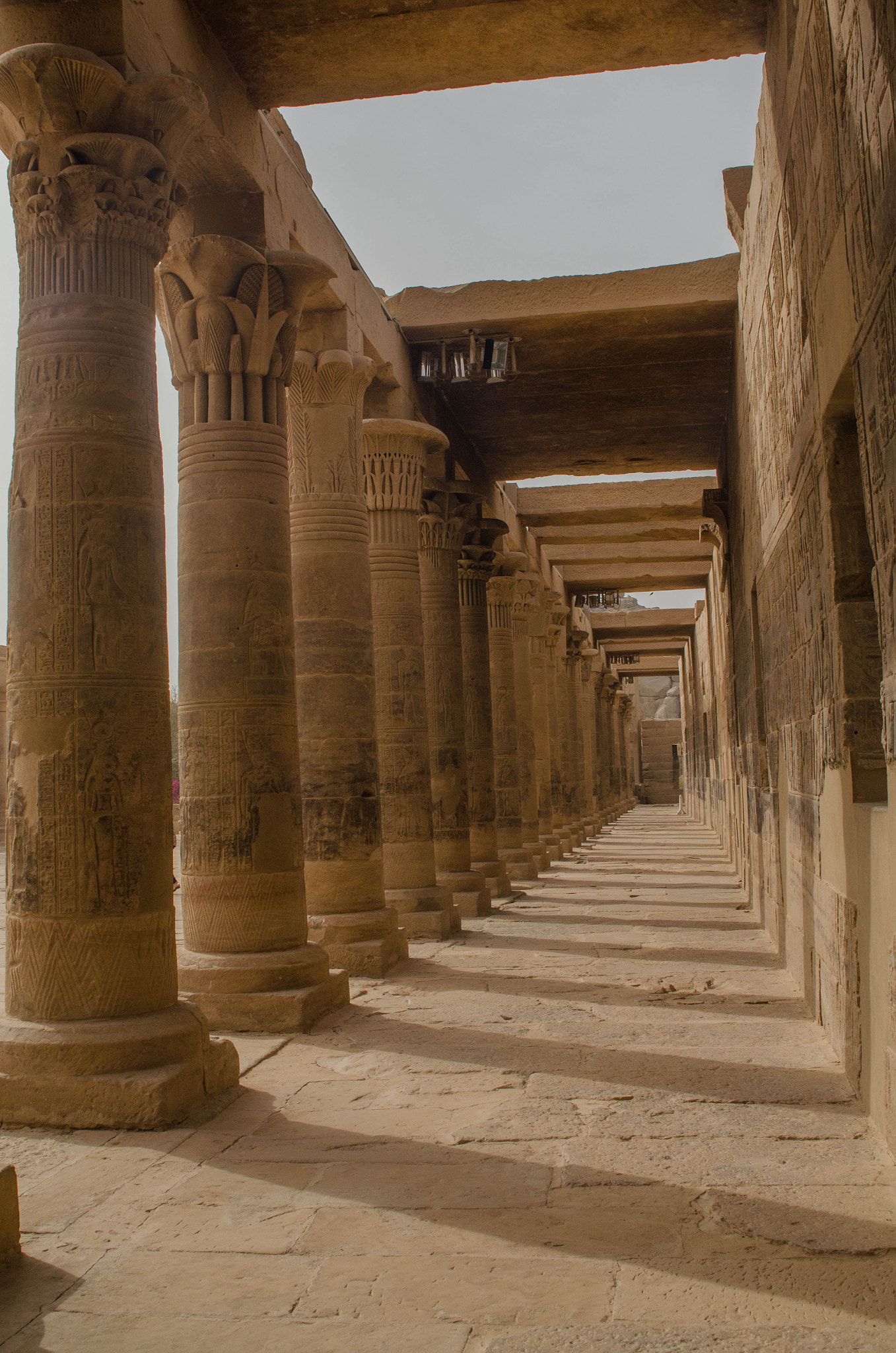 Nikon D5100 + Sigma 24-70mm F2.8 EX DG HSM sample photo. Columns from philae temple - aswan eg photography