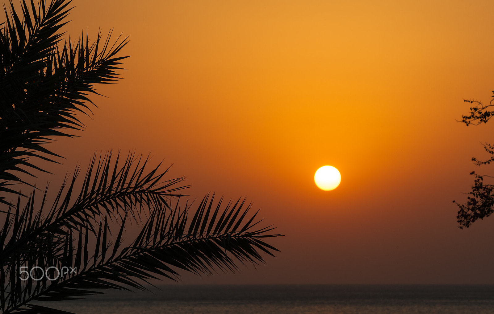 Nikon AF-S Nikkor 70-200mm F4G ED VR sample photo. Sunrise at indian ocean / fujairah uae photography