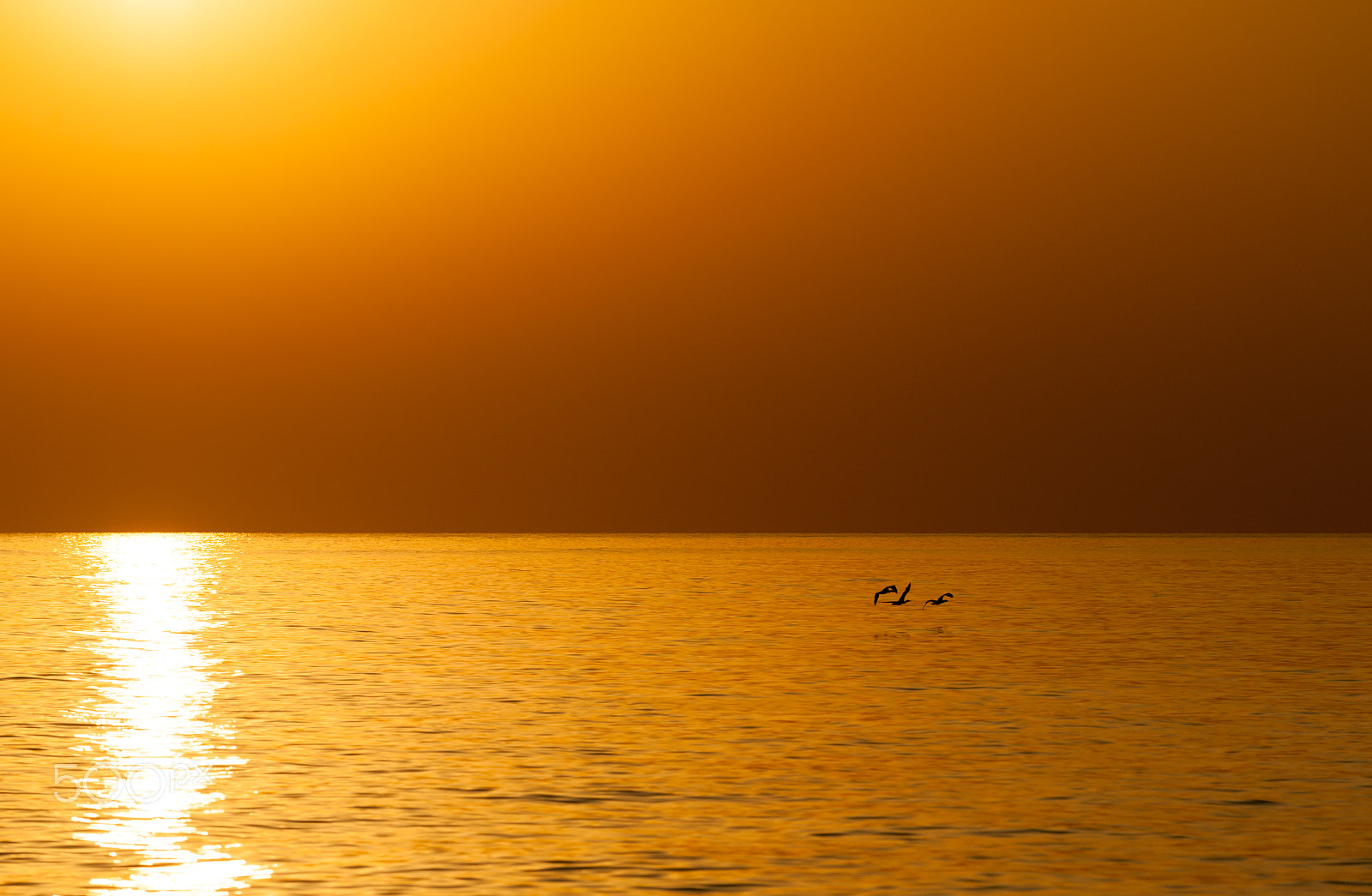 Nikon D700 sample photo. Sunrise at indian ocean / fujairah uae photography